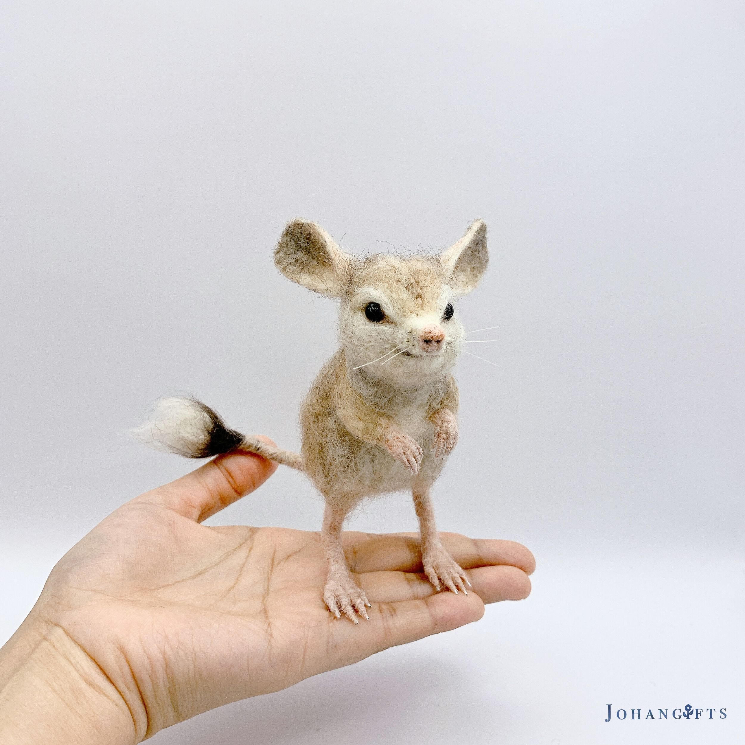 Long-eared jerboa | 2026