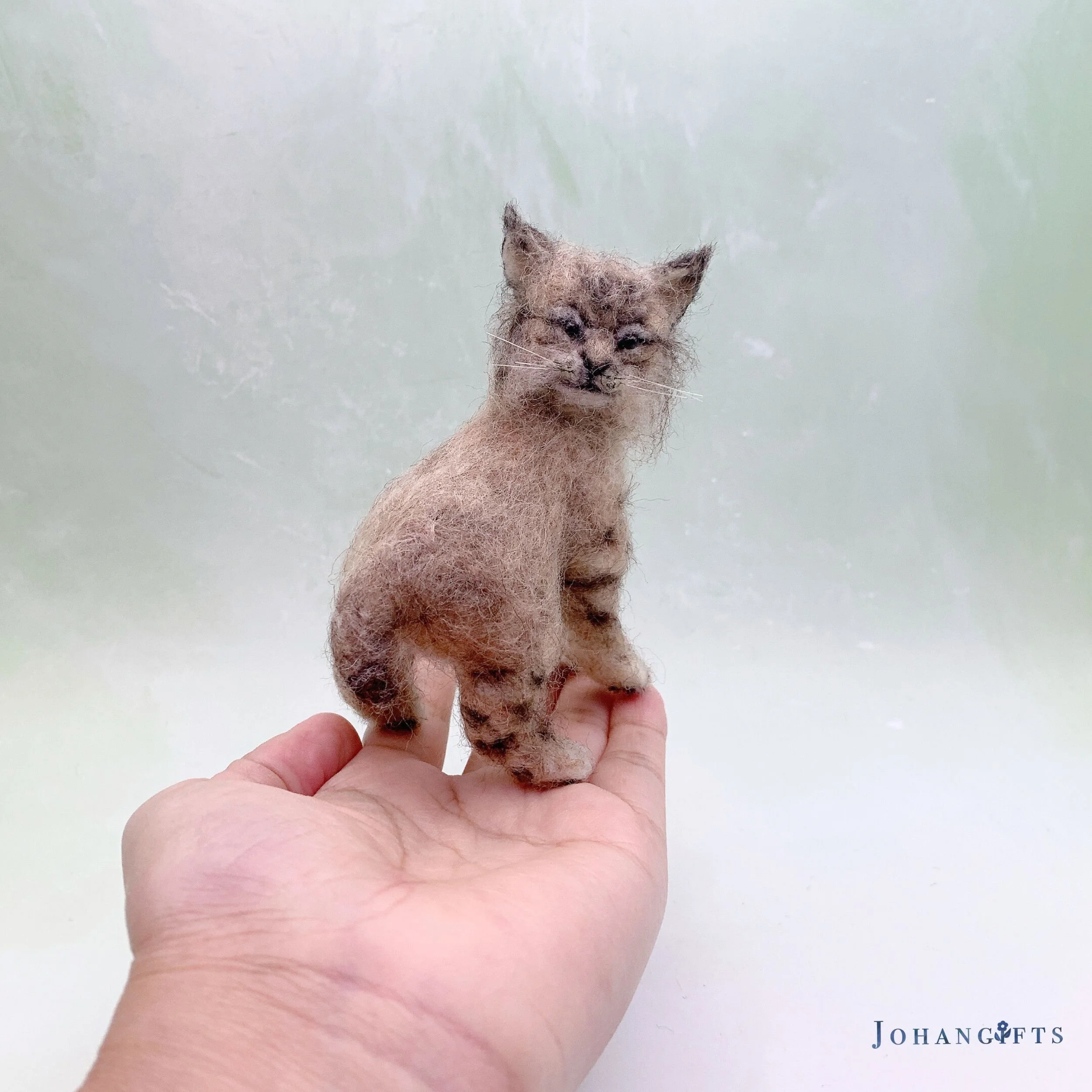 Bobcat Kitten | 2025 | Sold