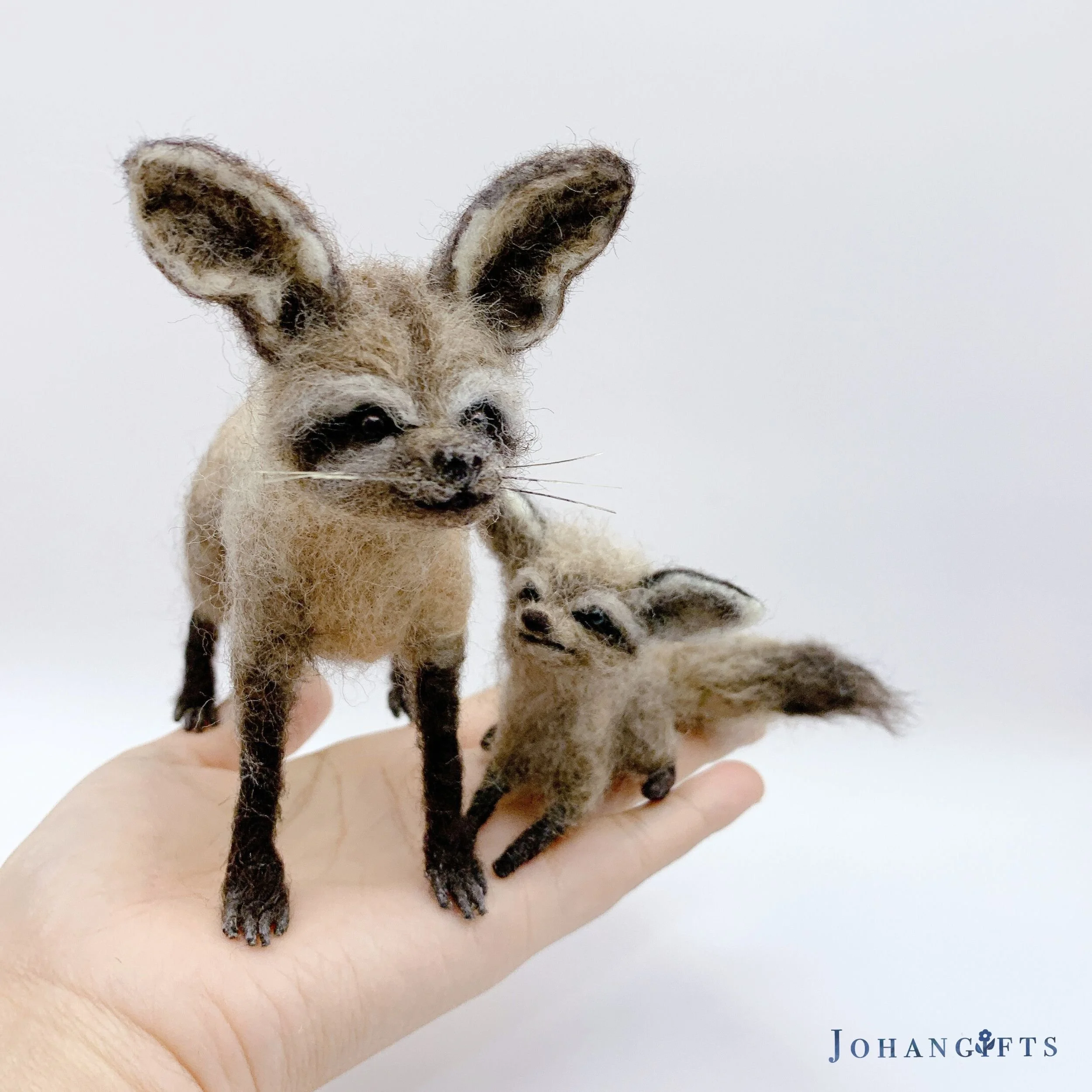 Bat-eared Fox & Cub | 2026