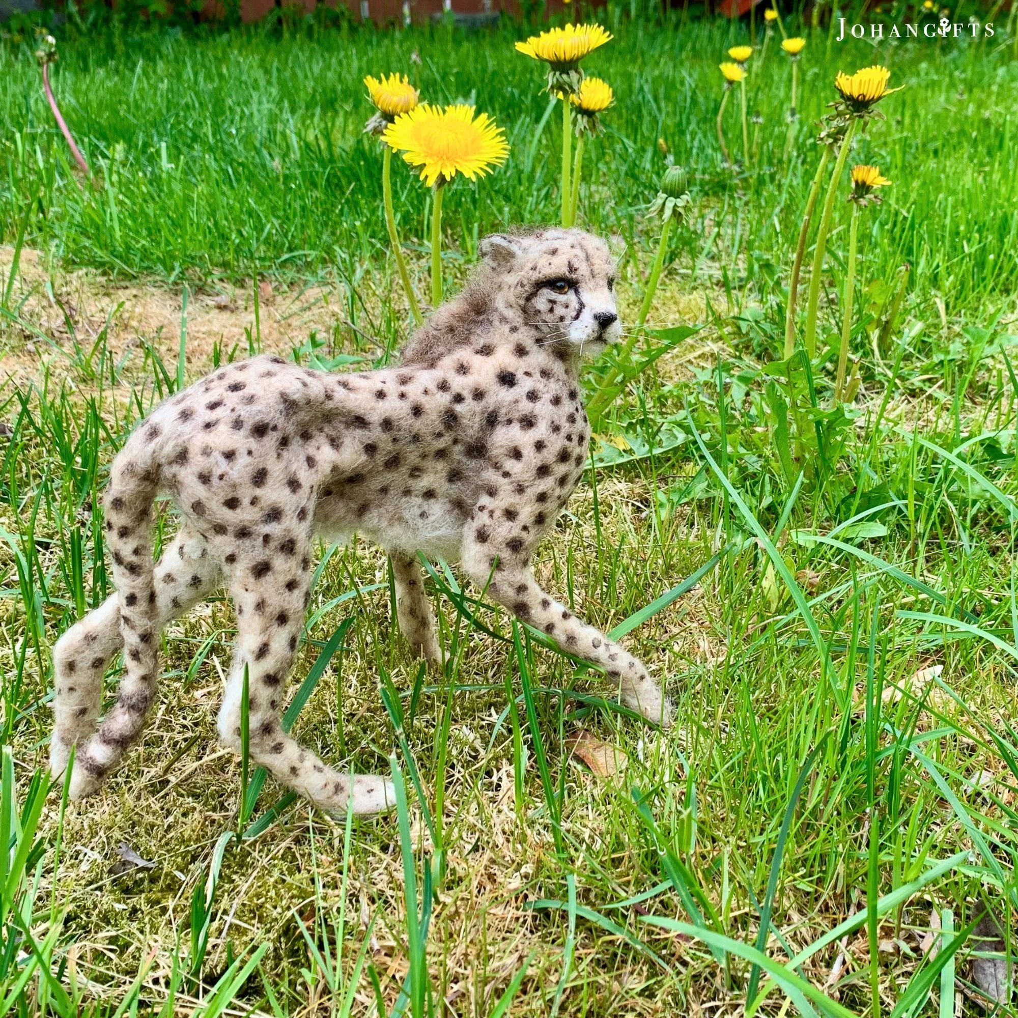 Cheetah | 2026