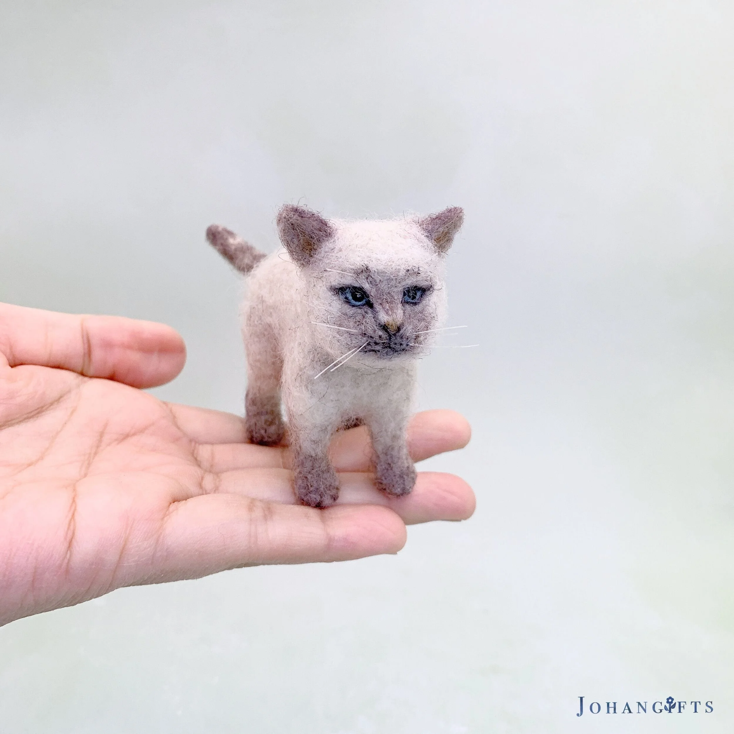 Siamese Kitten | 2026 | Sold