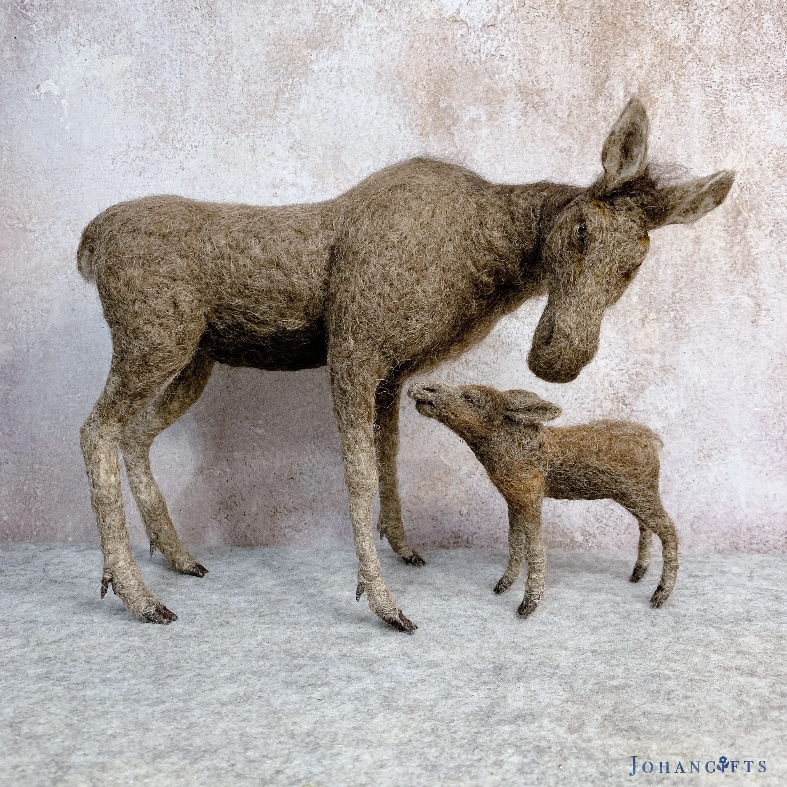 Doe moose & baby | 2026