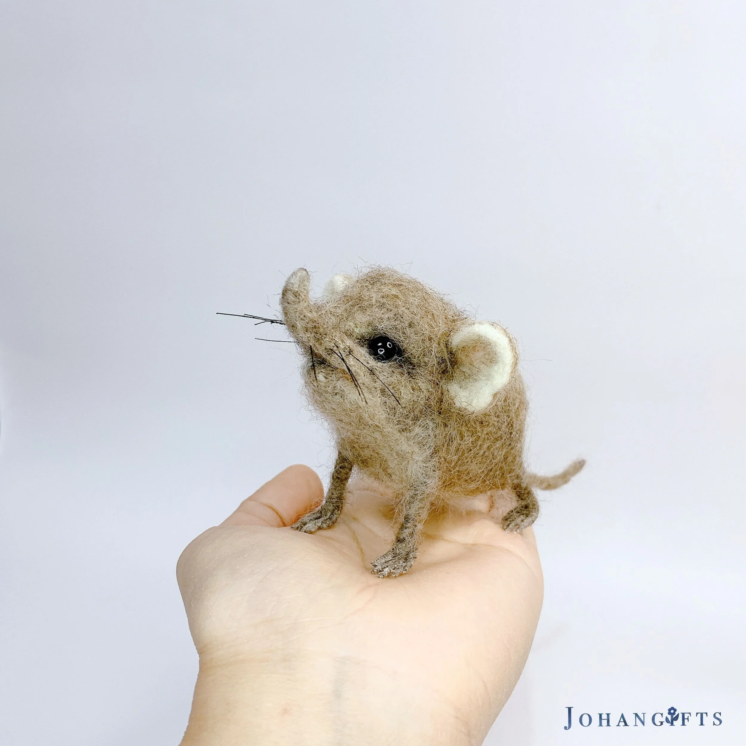 Round-eared Shrew | 2025 | Sold