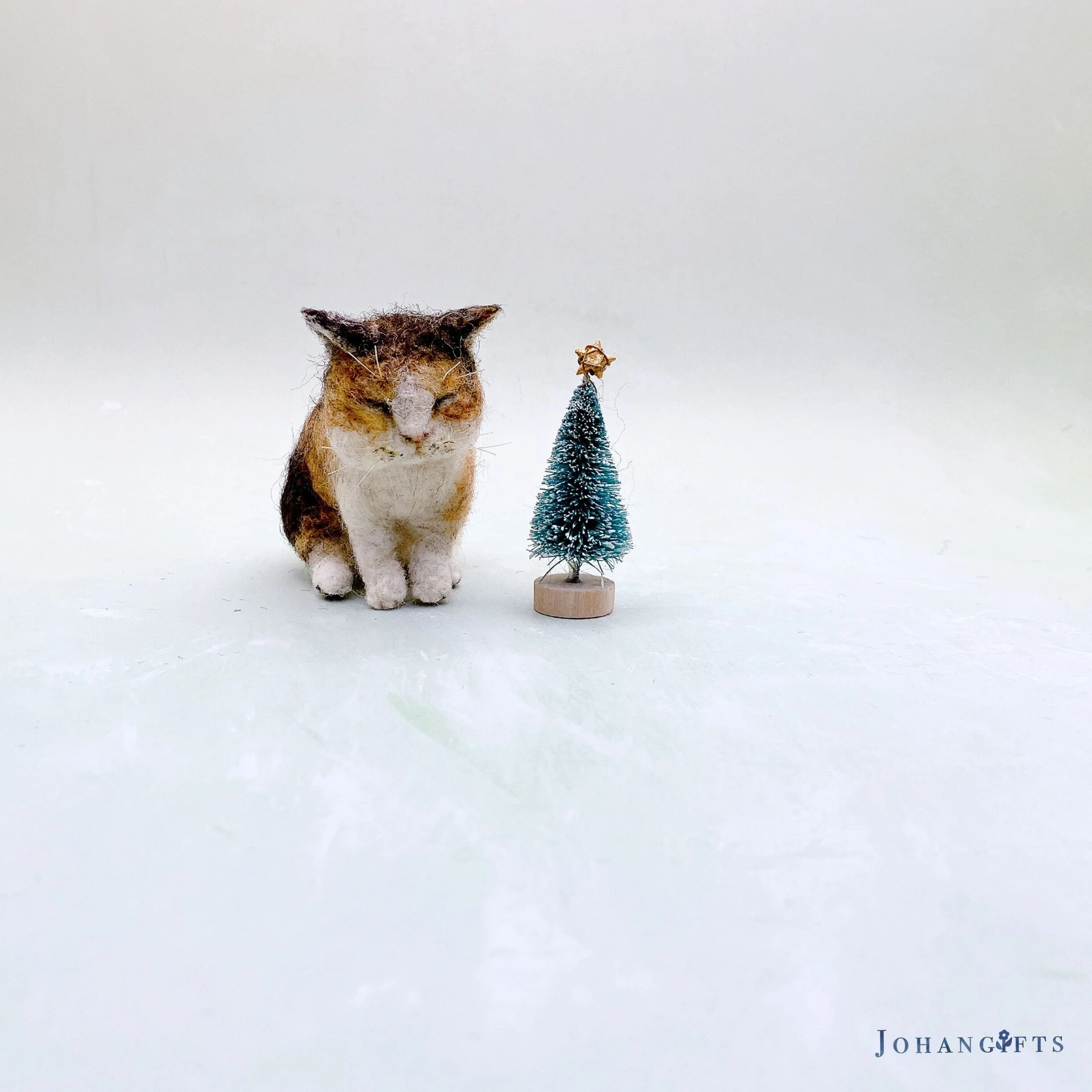 Calico kitten | 2025