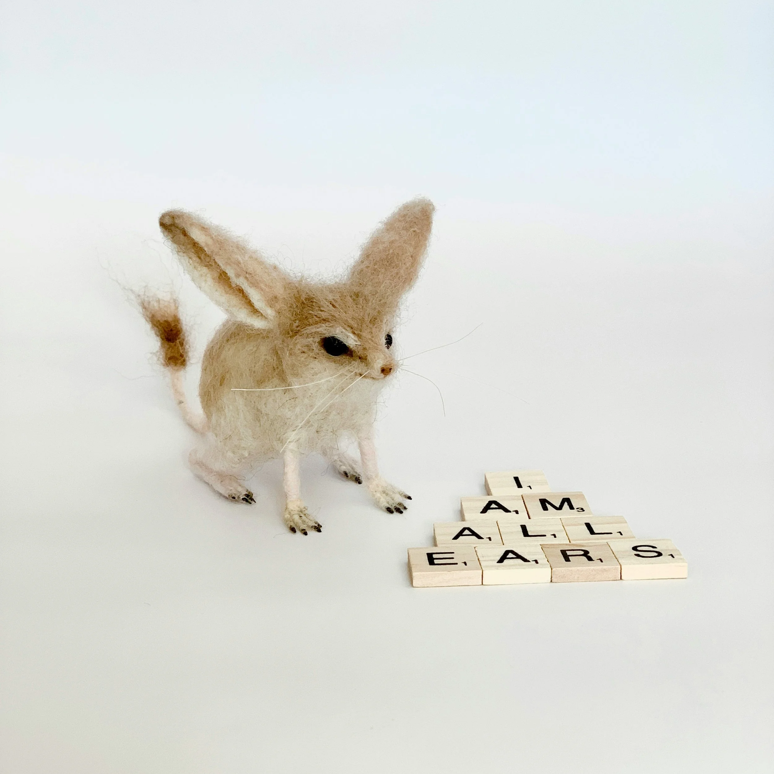 Long-eared jerboa | 2024