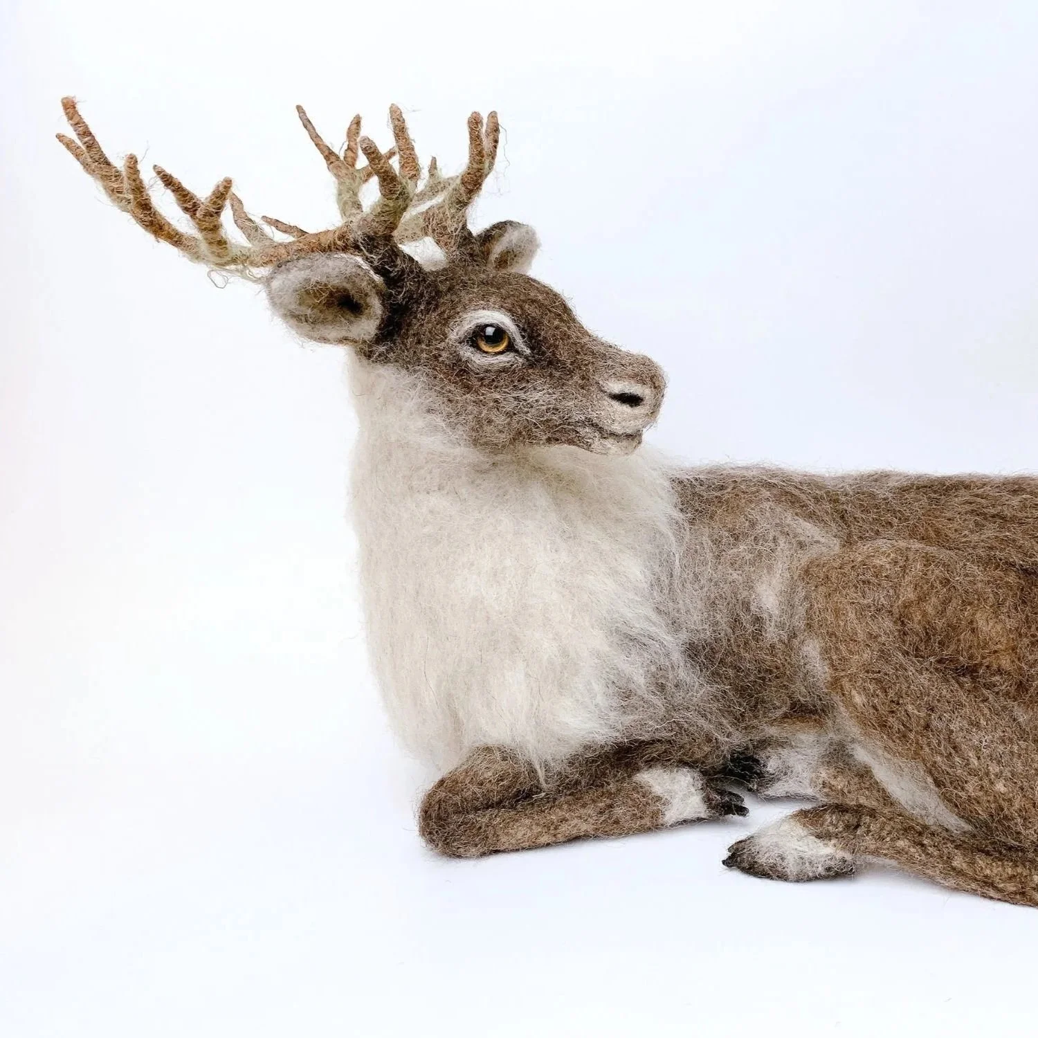 Summer caribou | 2026