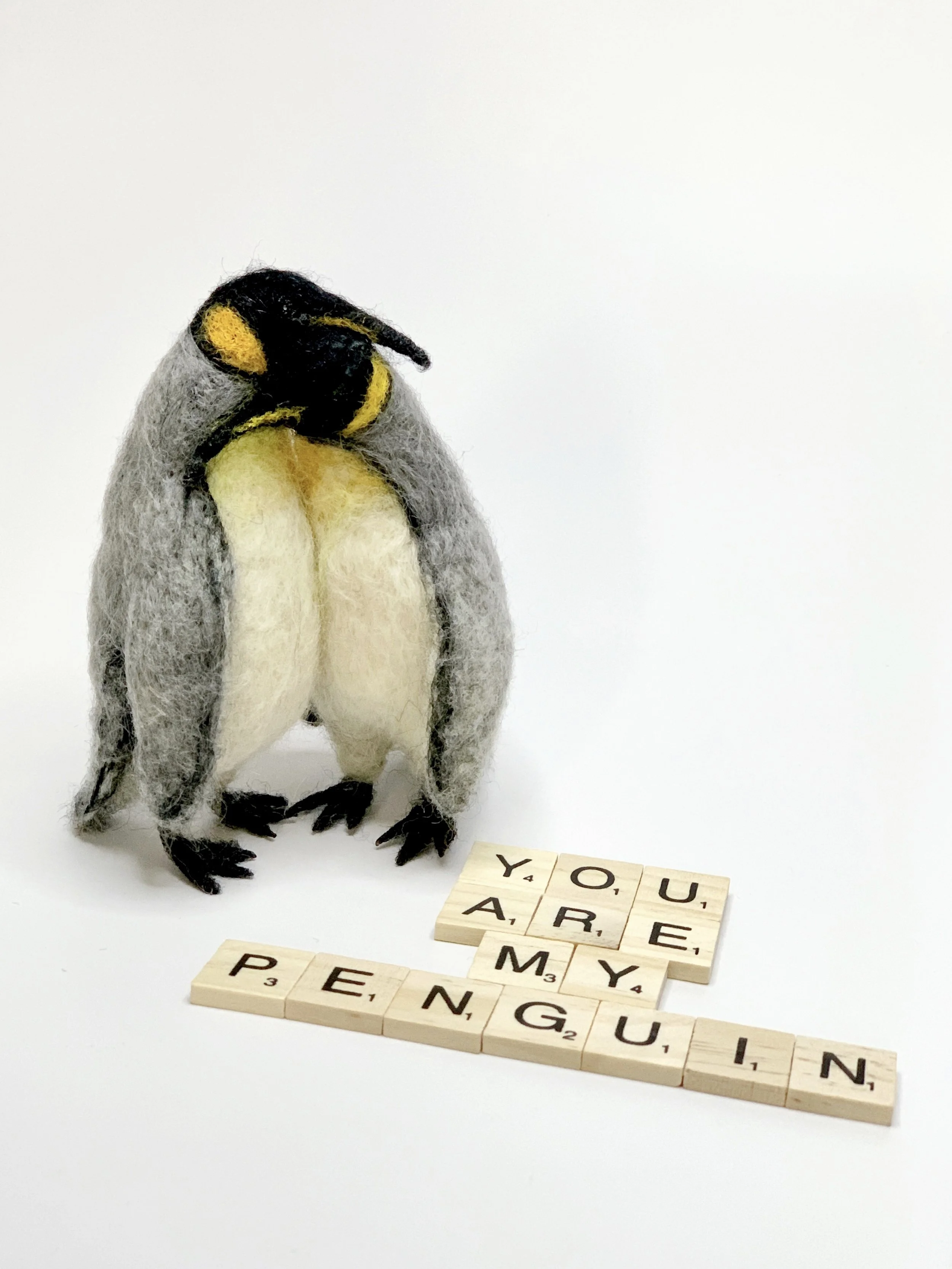 King penguin | 2024