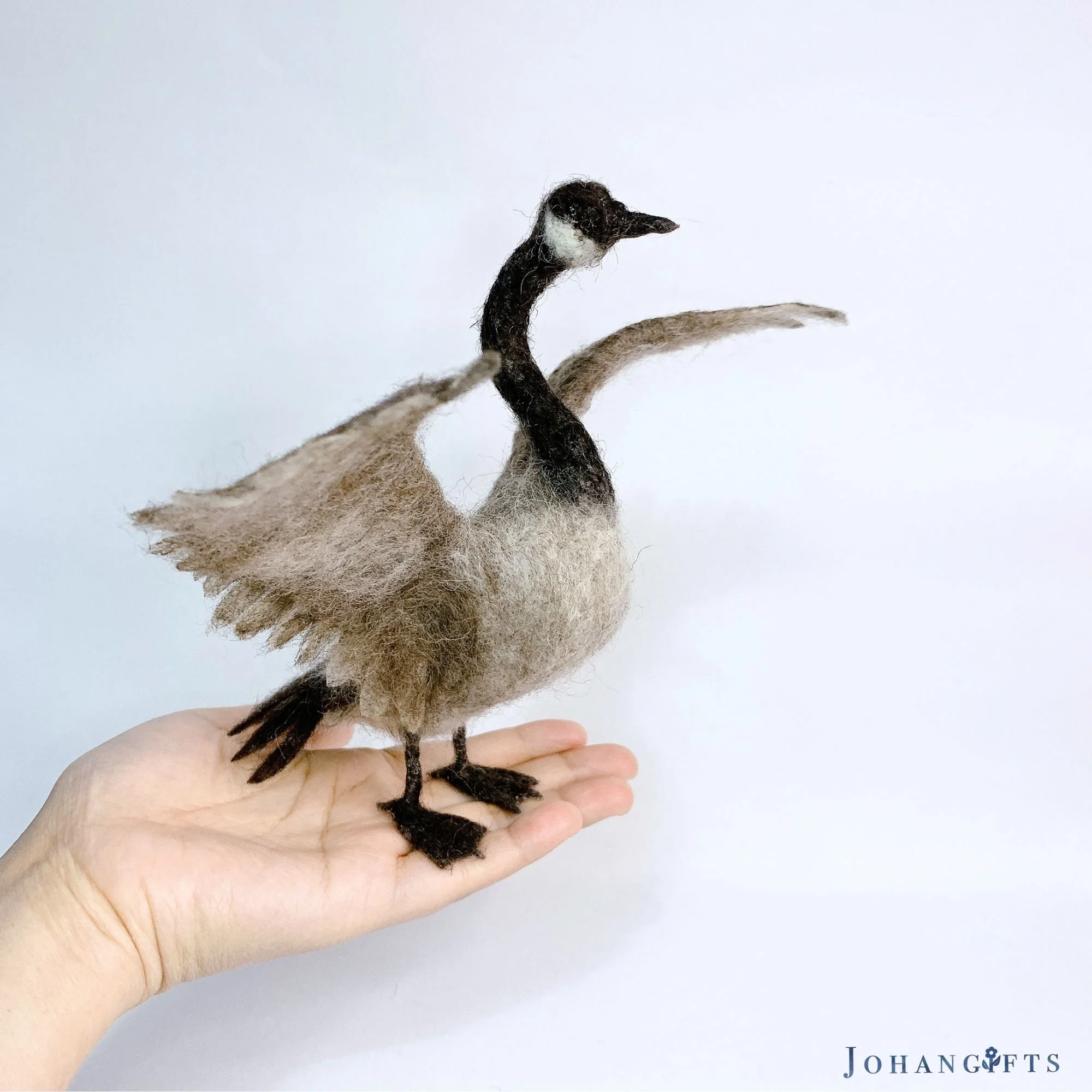 Canada goose | 2026