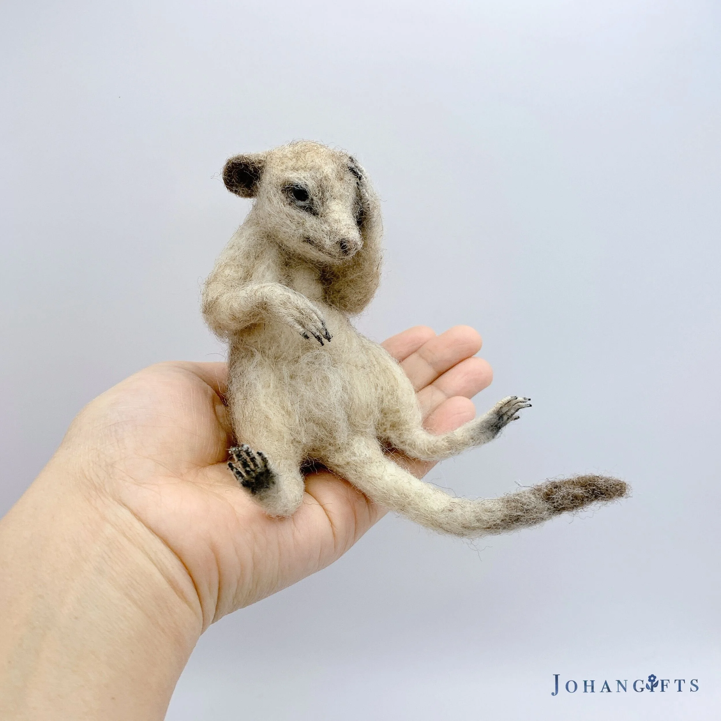 Meerkat | 2025