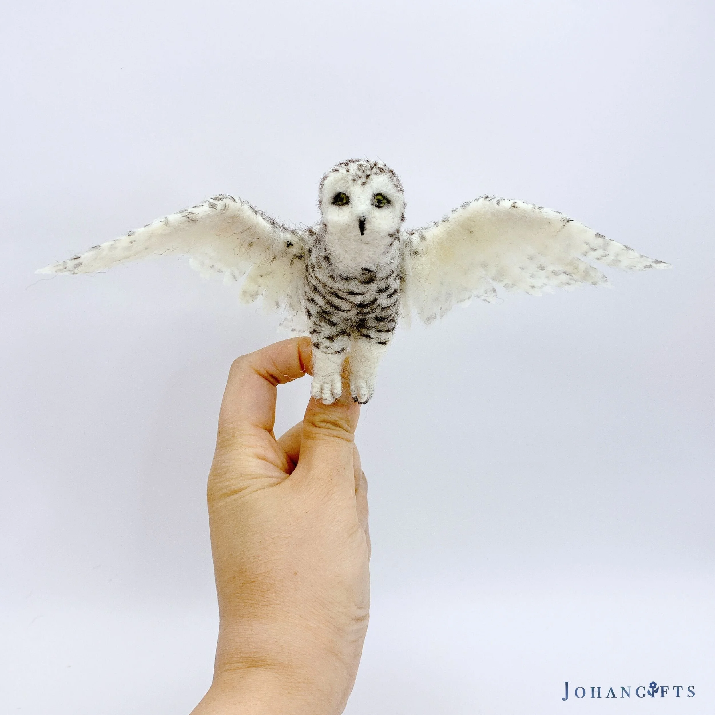 Snowy Owl | 2026