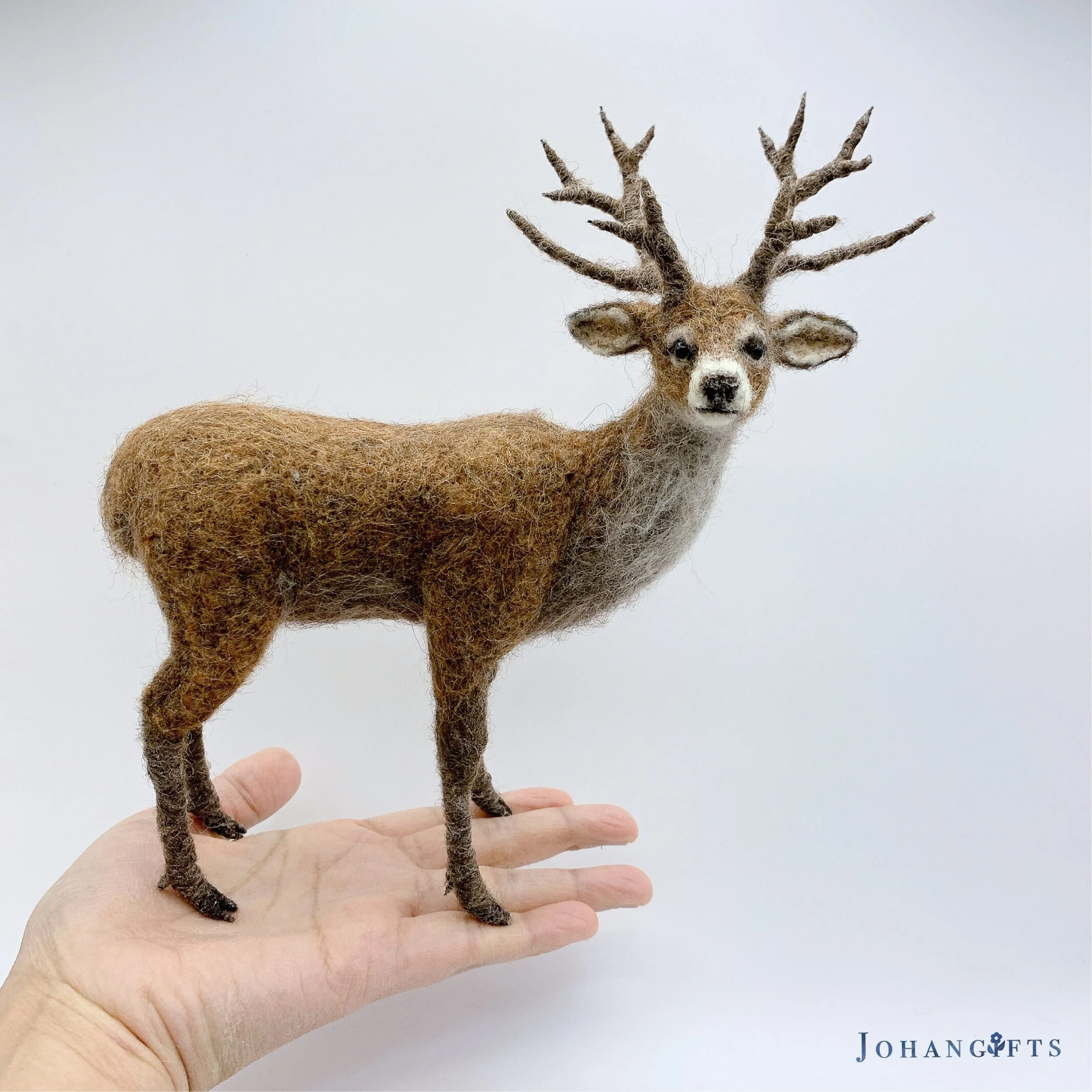 Red deer | 2025