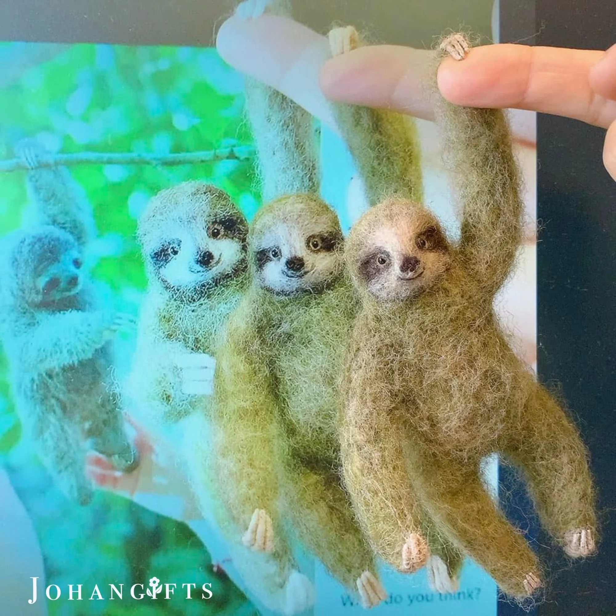 Sloth | 2024