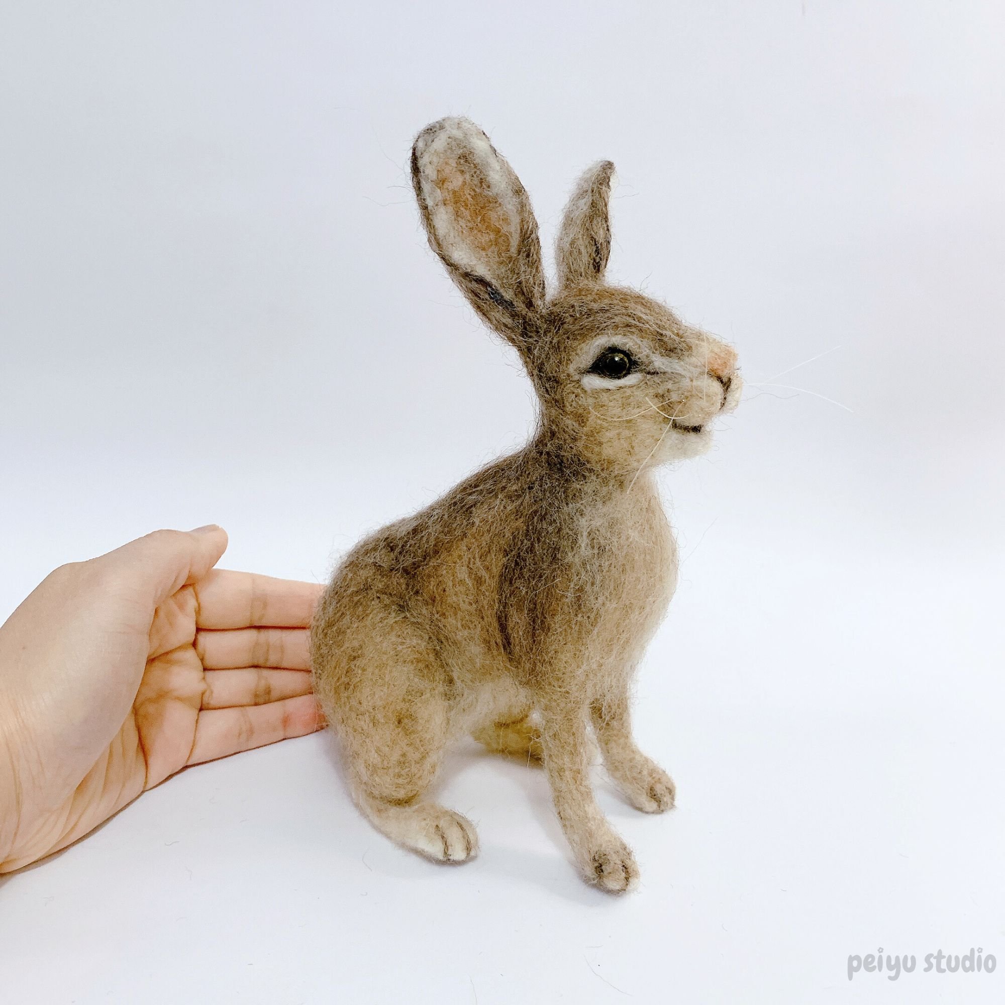 Rabbit | 2024