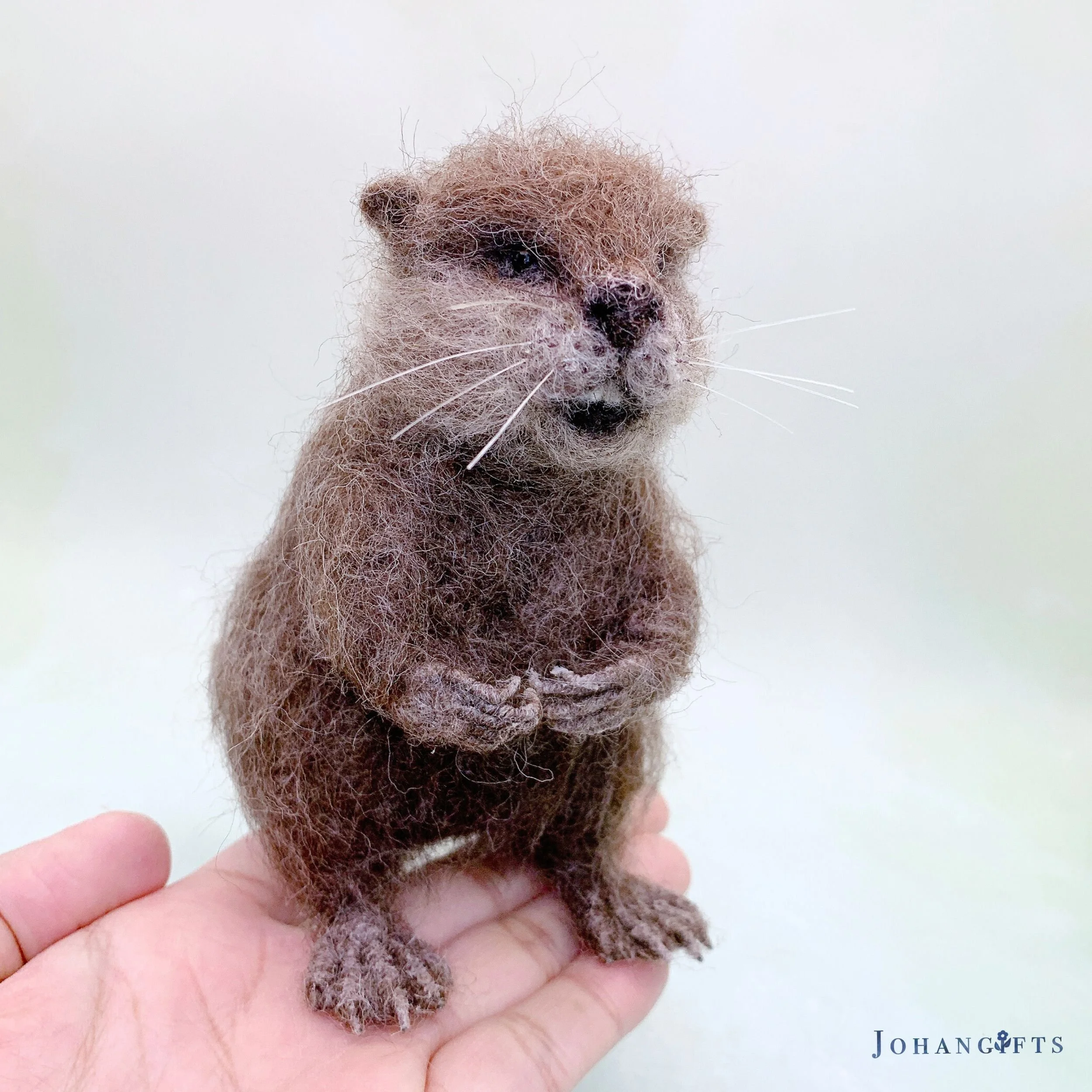 Beaver | 2026