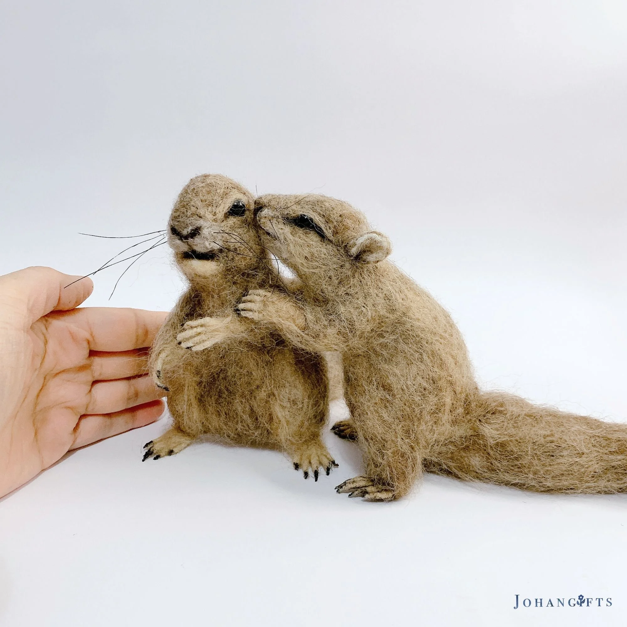 prairie dog couple | 2024