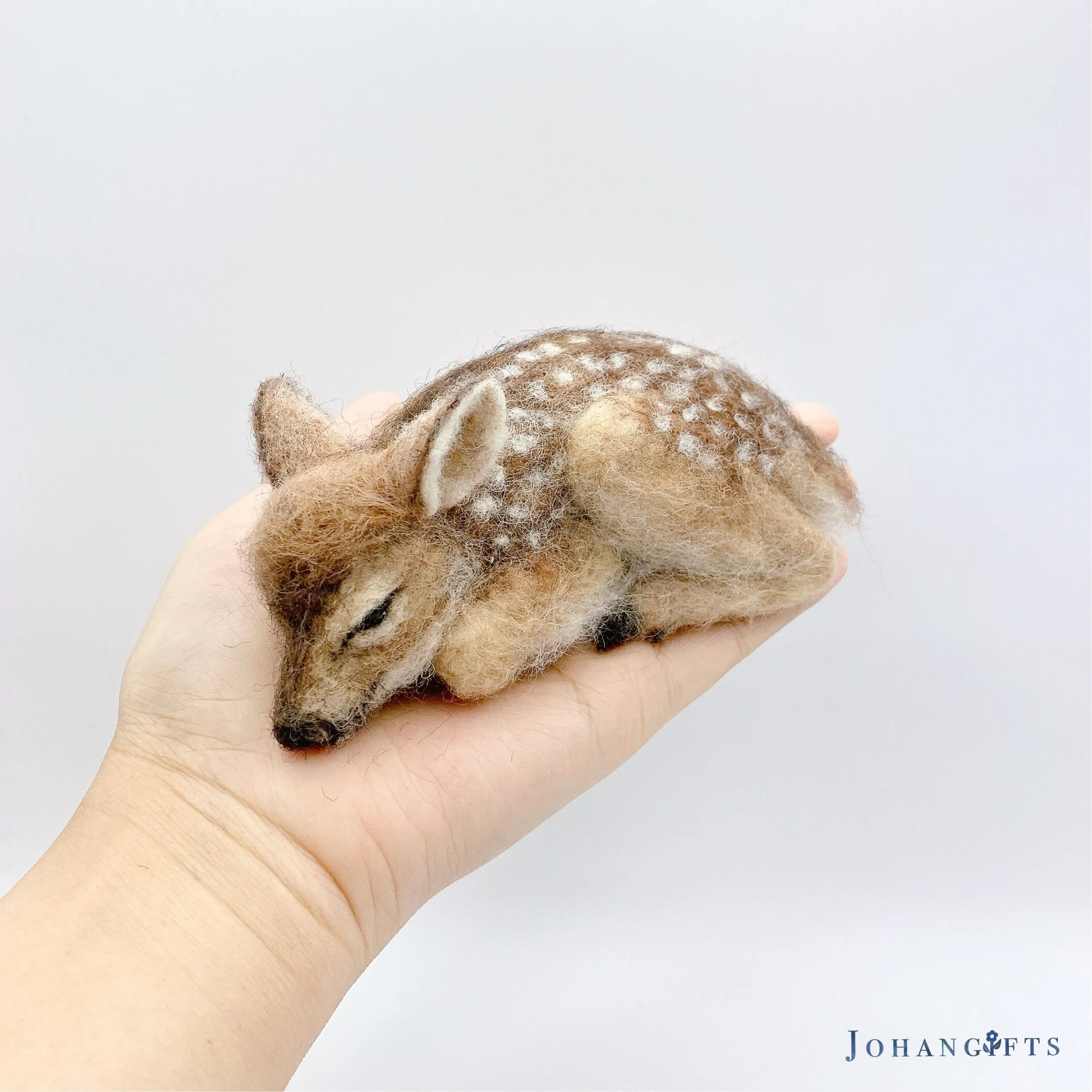 Fawn | 2026