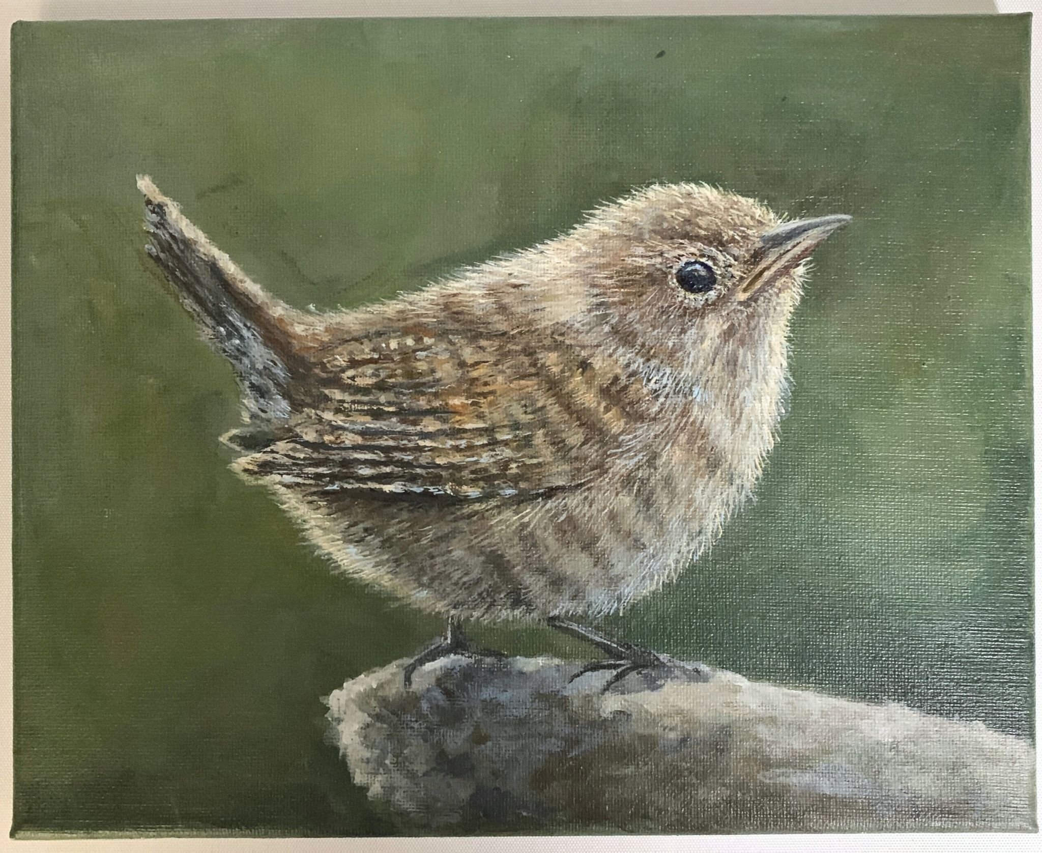 Wren | Acrylic on Canvas | 8 × 10 in | 2026
