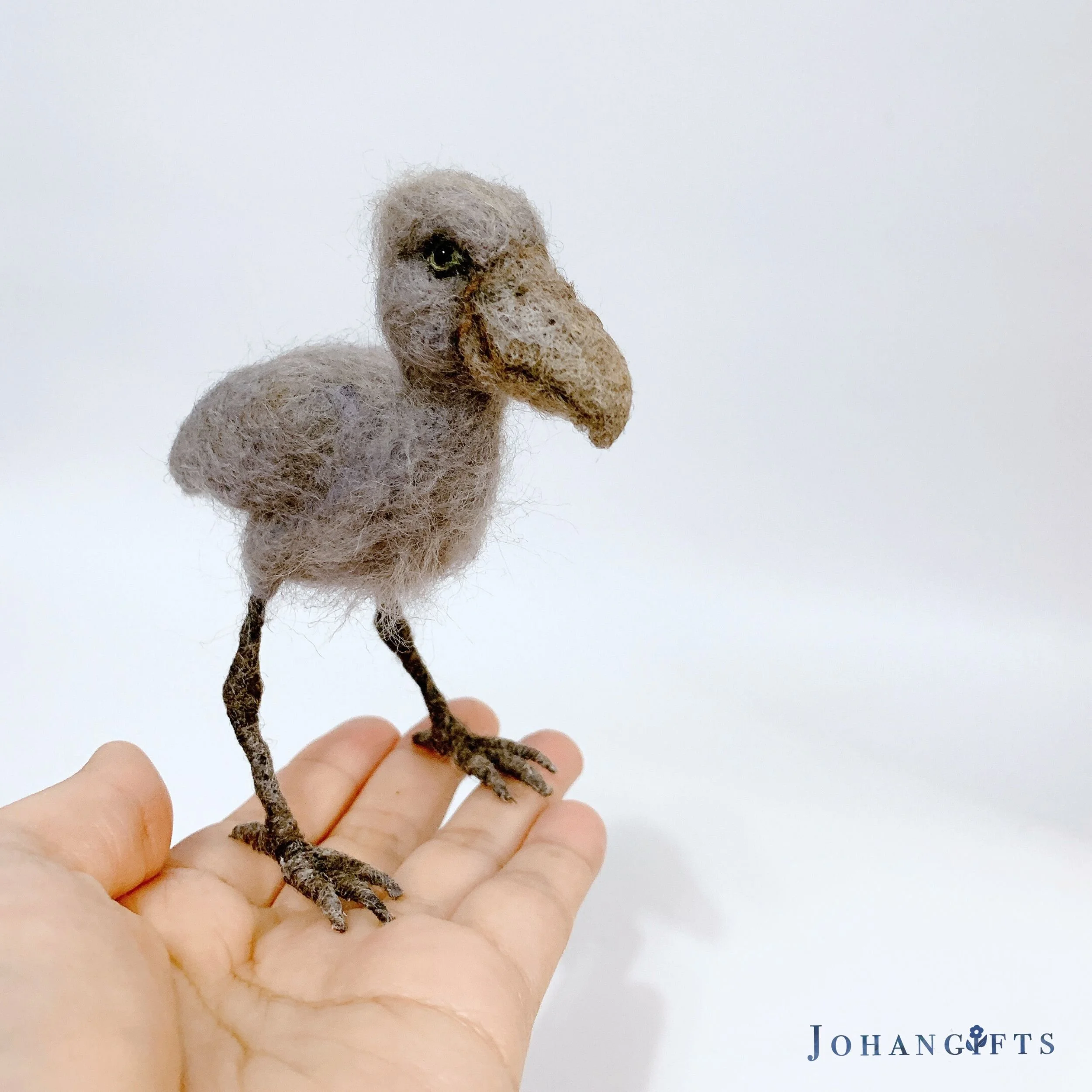 Baby shoebill stork | 2024
