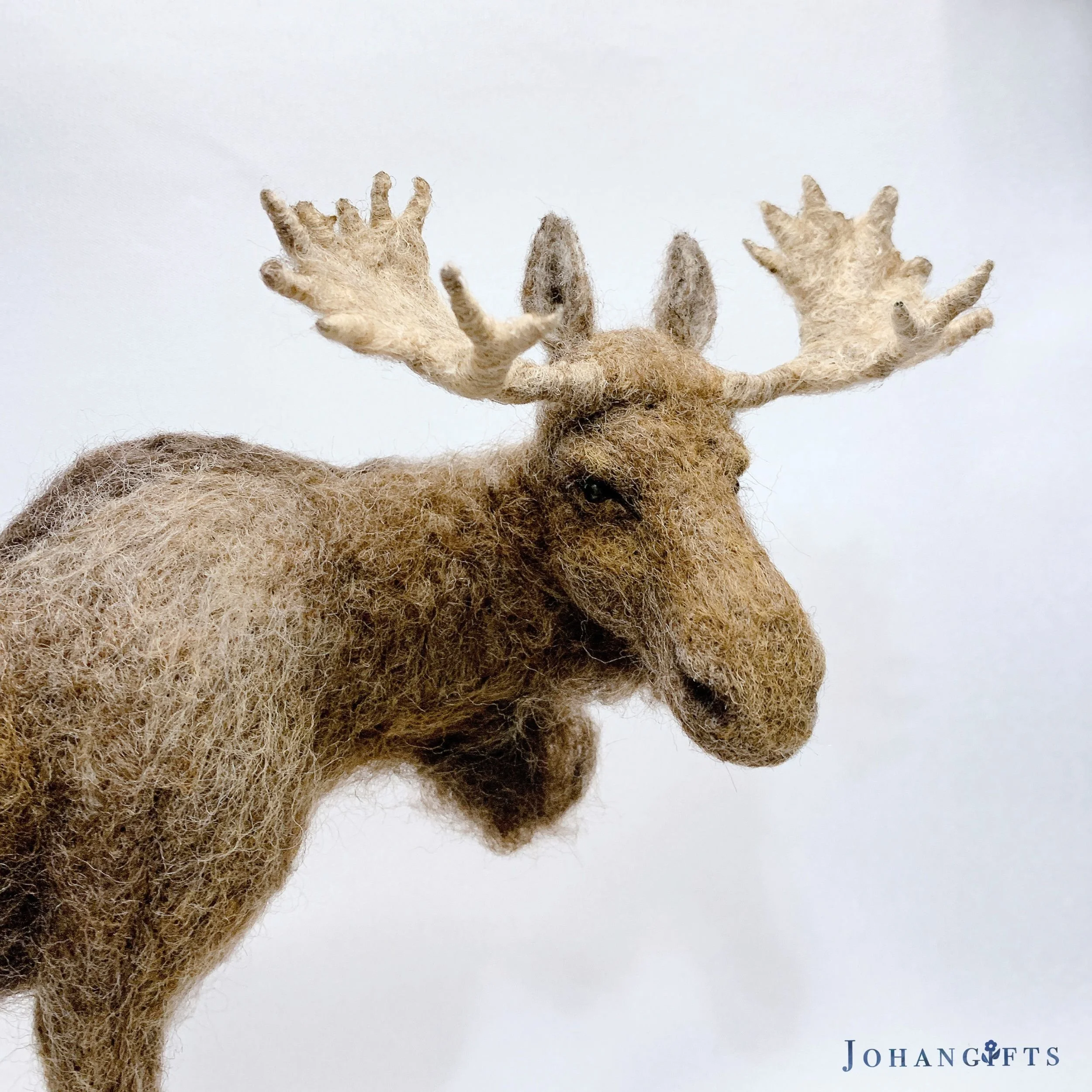Bull Moose | 2026 | Sold