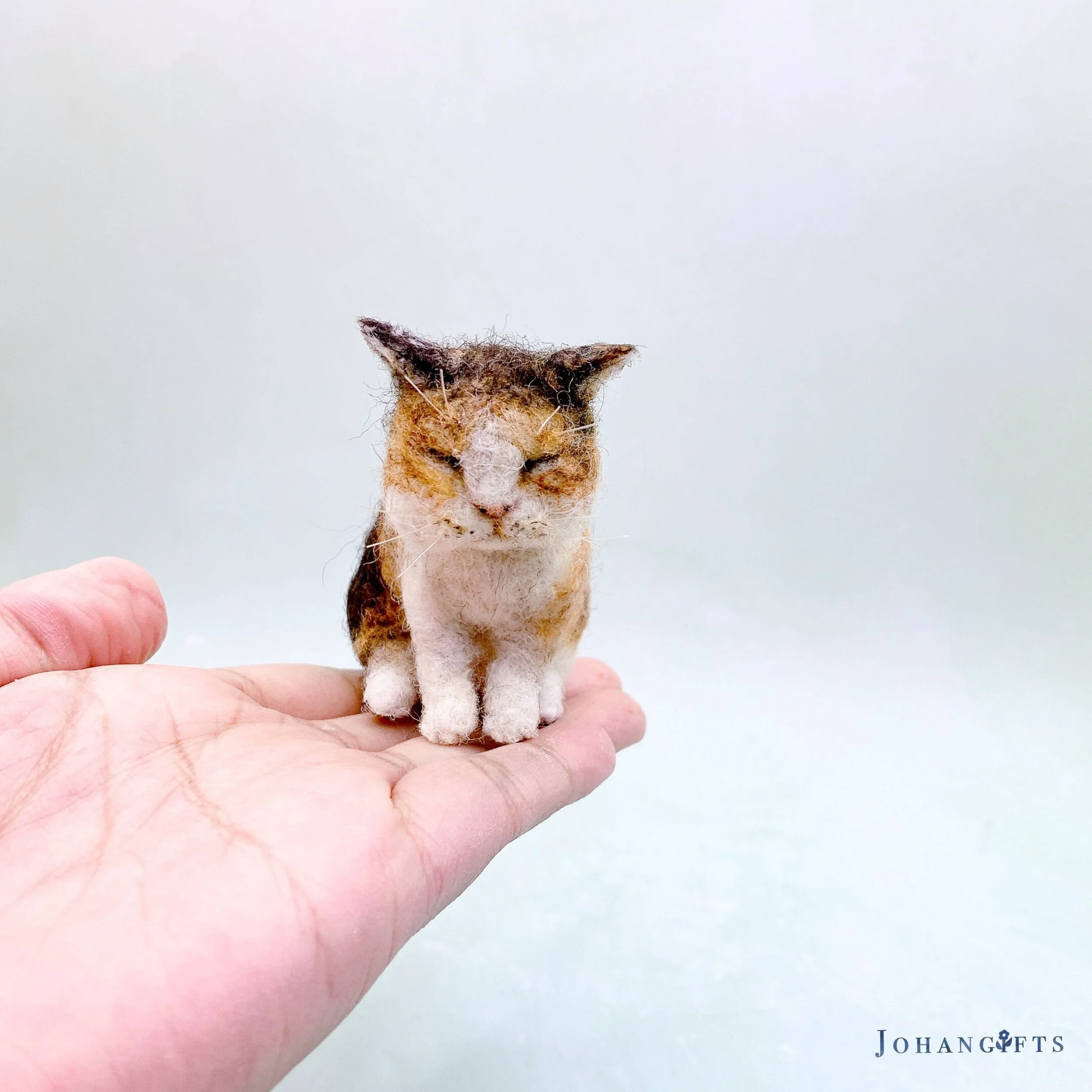 Calico Kitten | 2025 | Sold