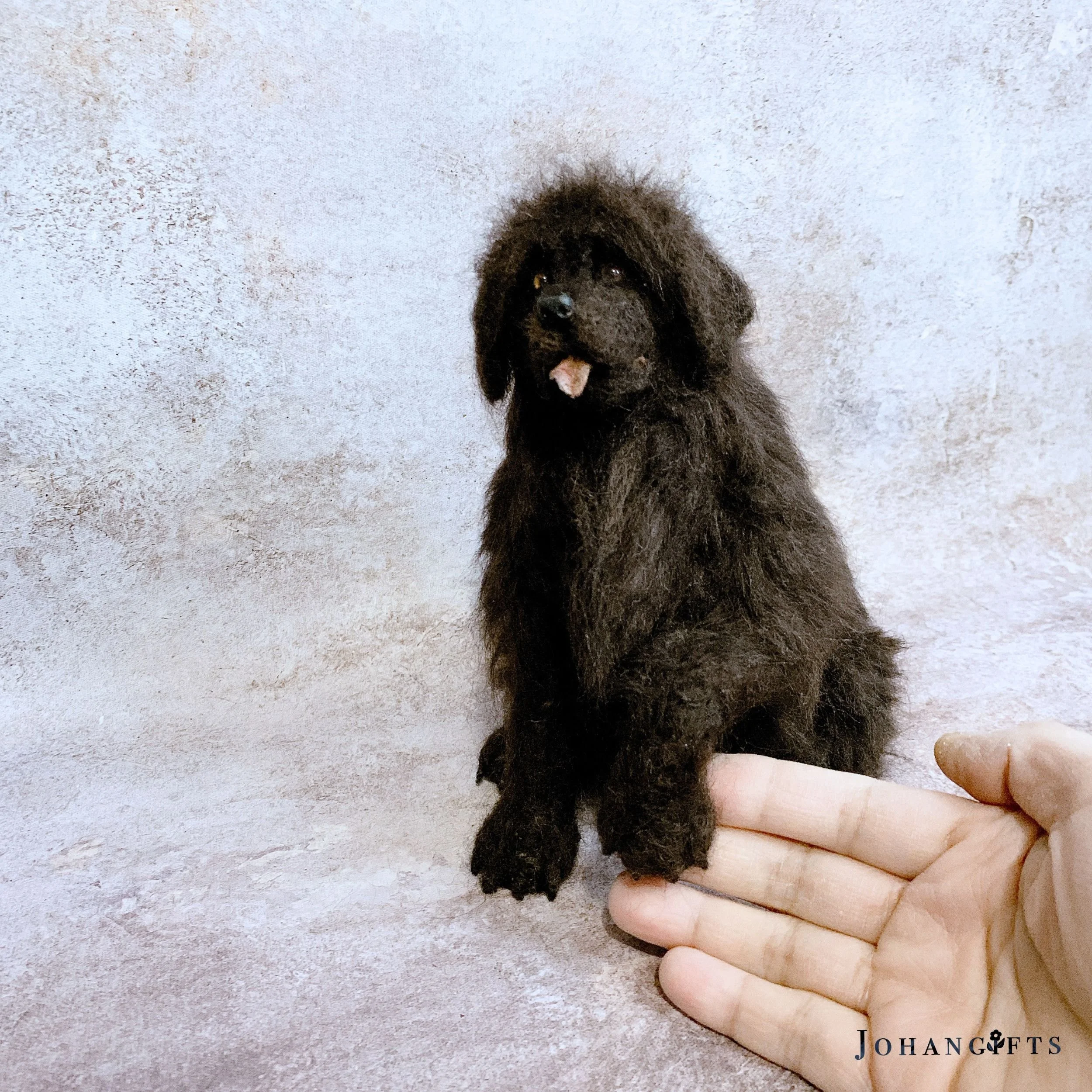 Newfoundland | 2026