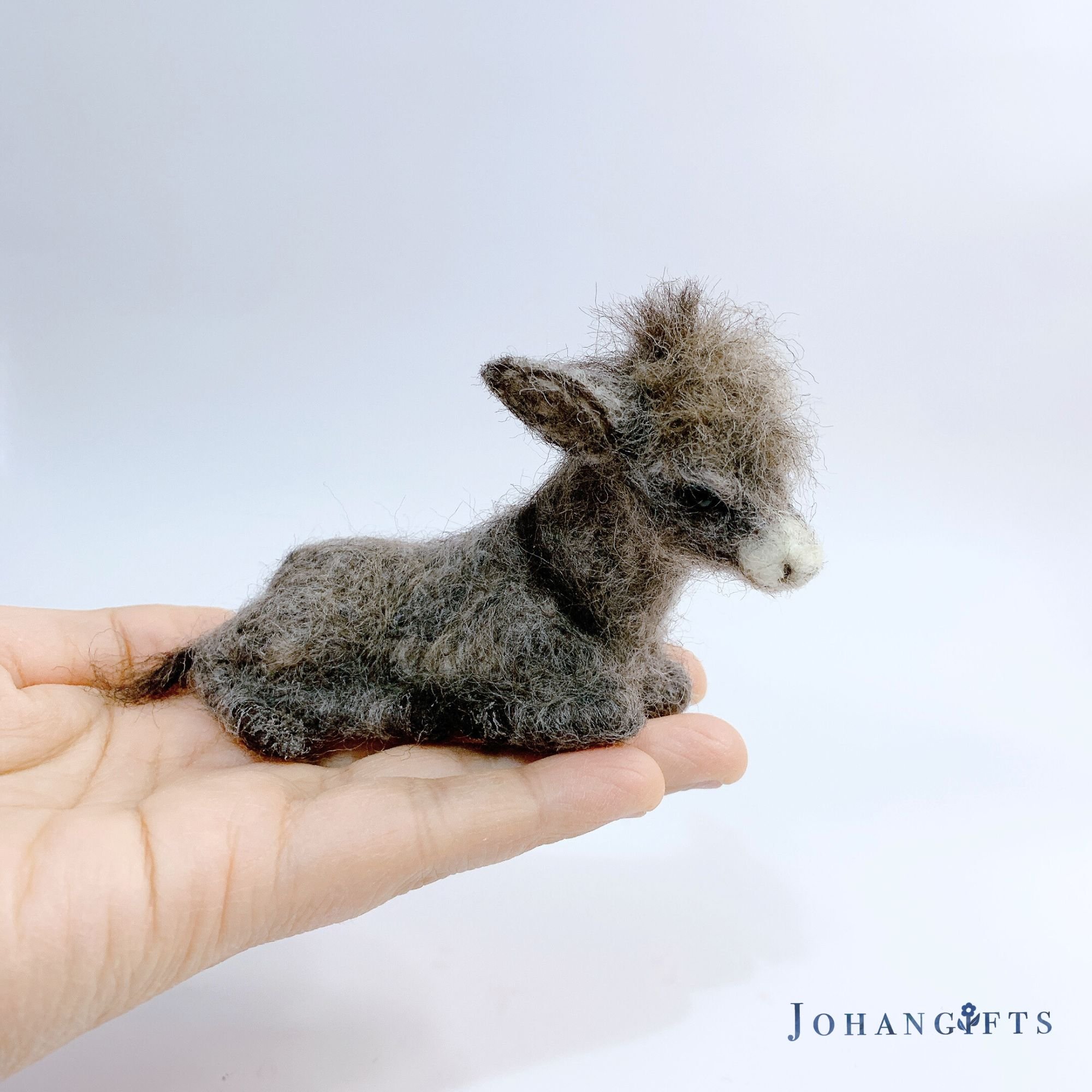Dozing foal | 2024