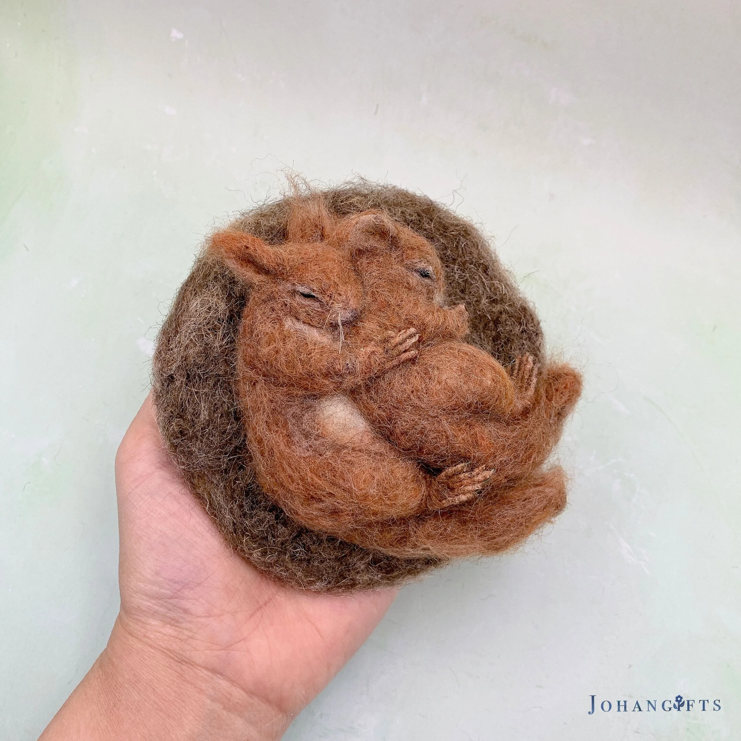 Baby squirrels | 2026