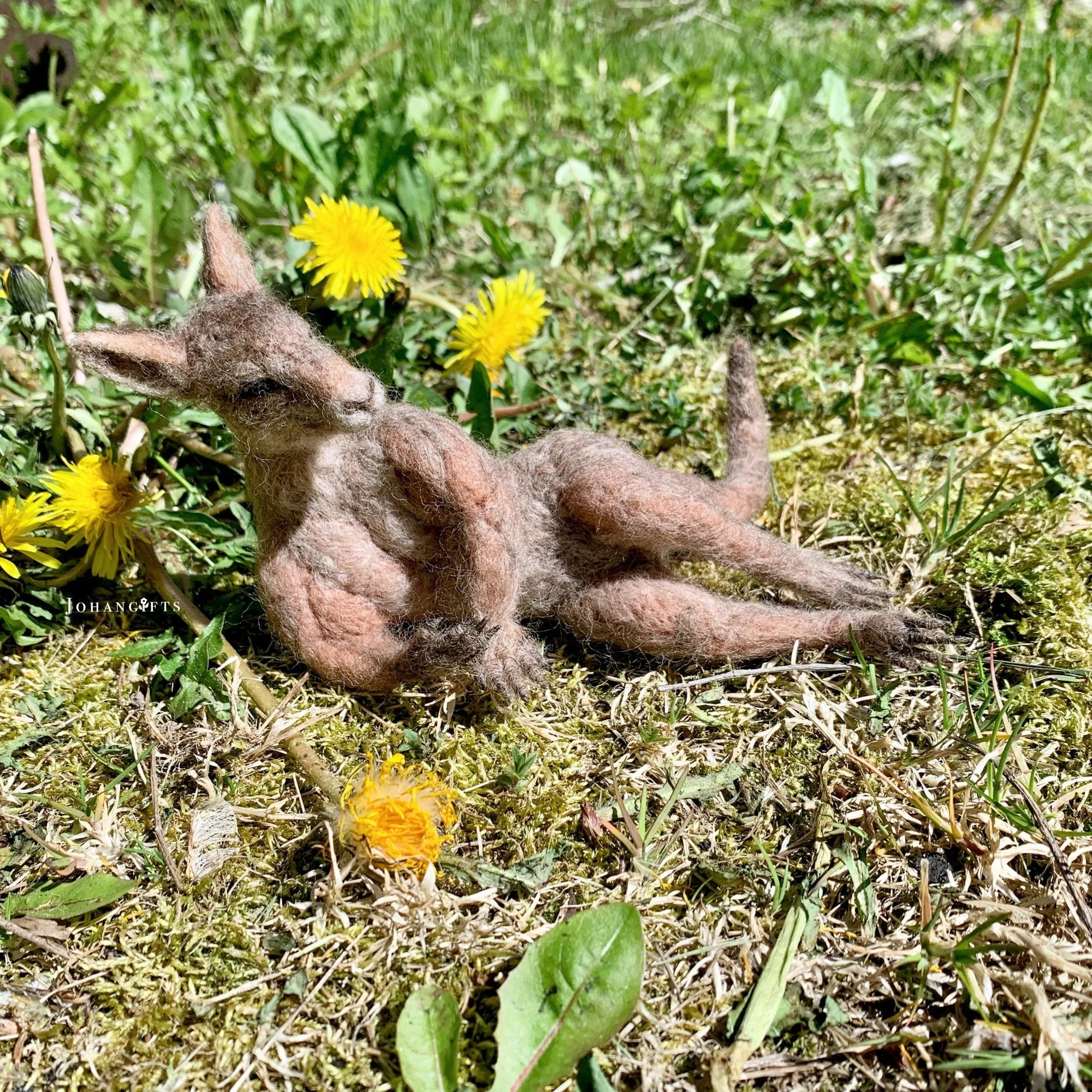 Male Kangaroo | 2026