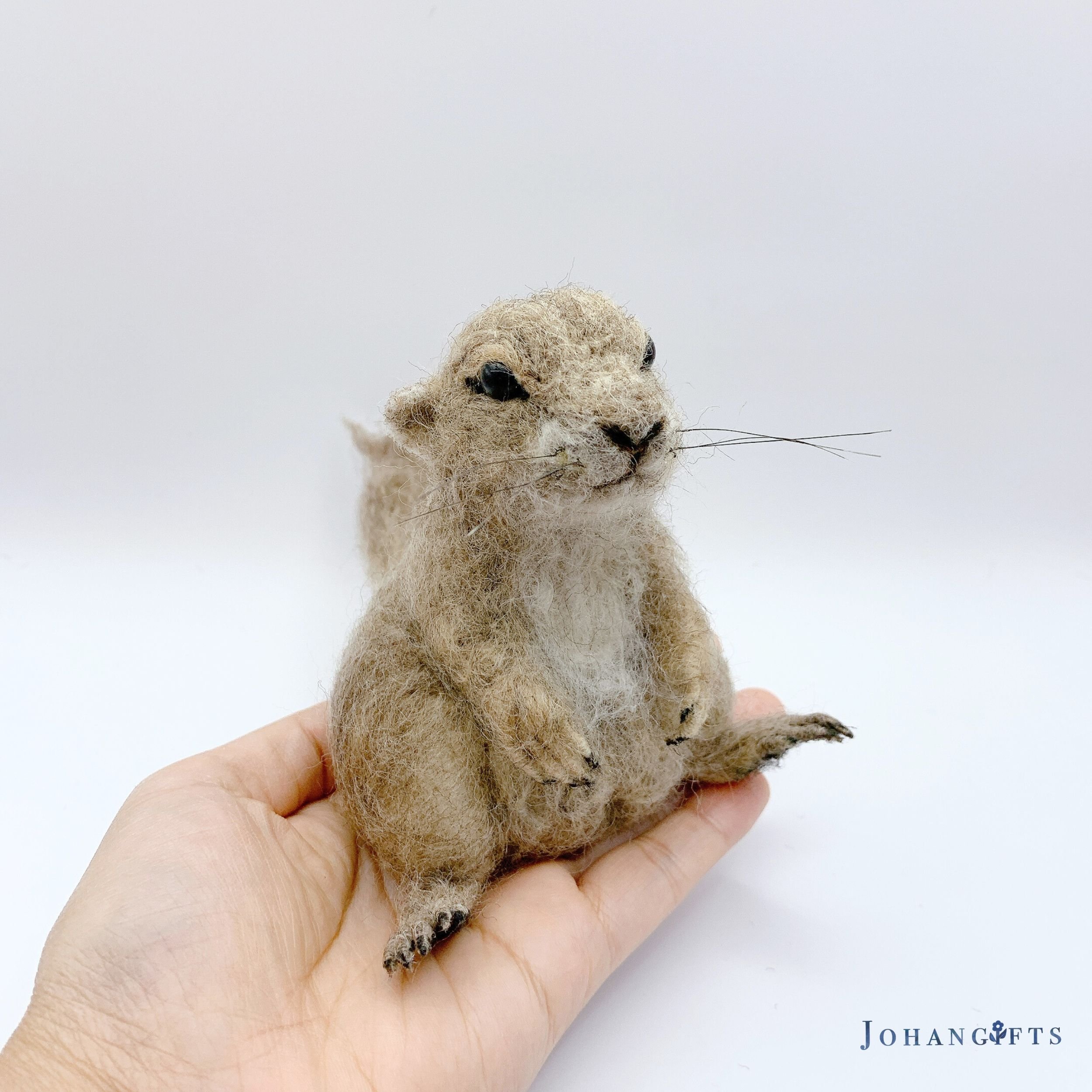 prairie dog | 2024