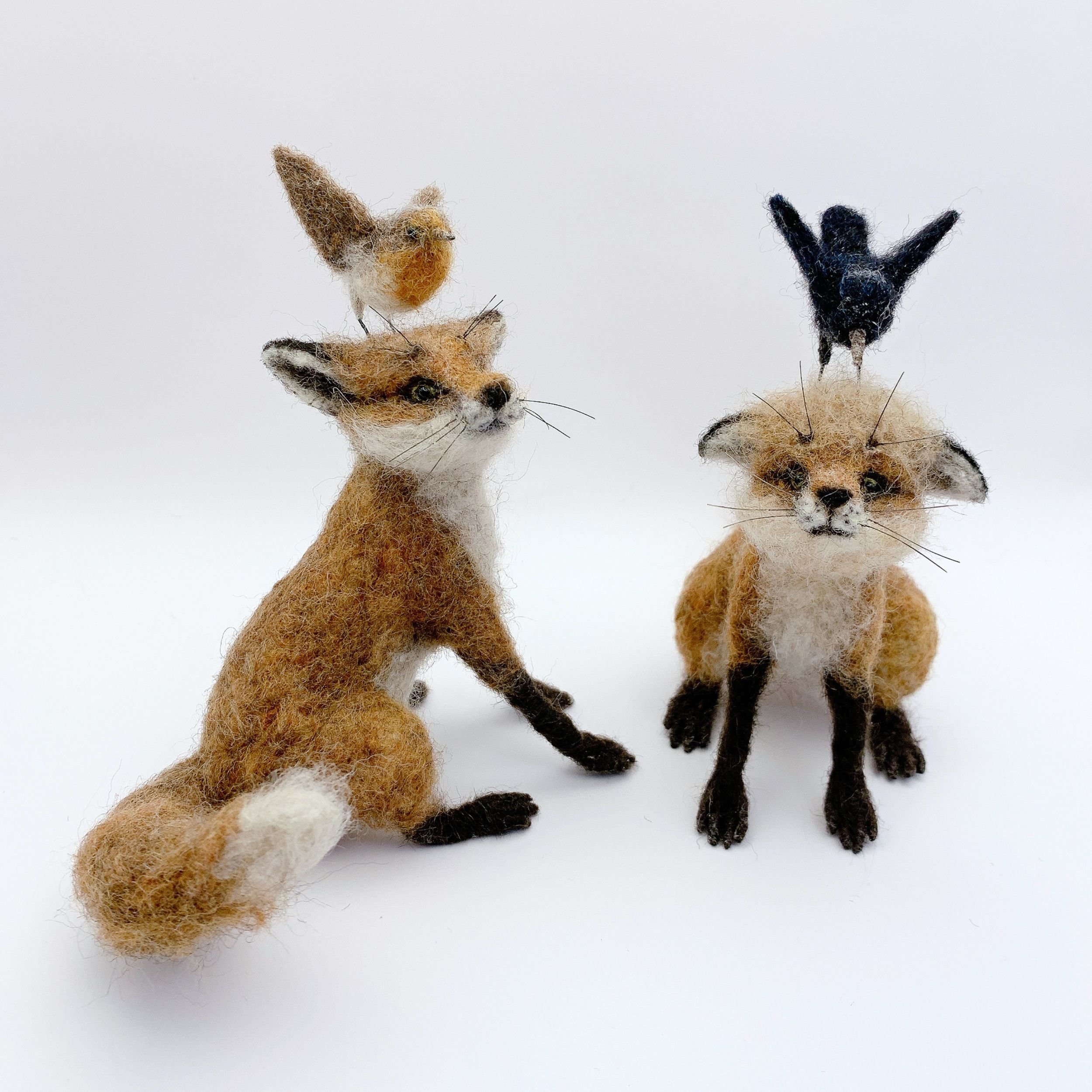 Fox & bird |  2026