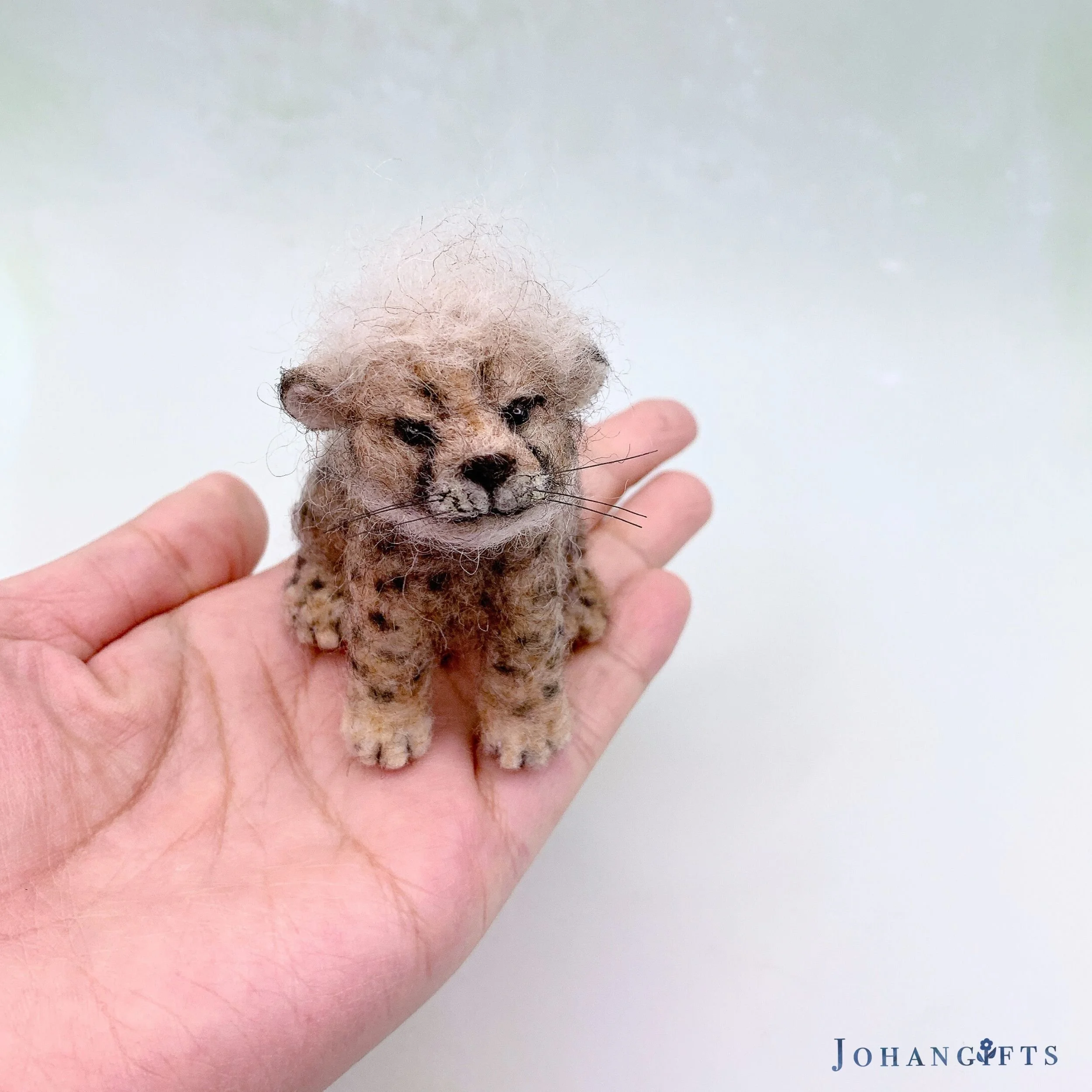 Cheetah cub | 2025