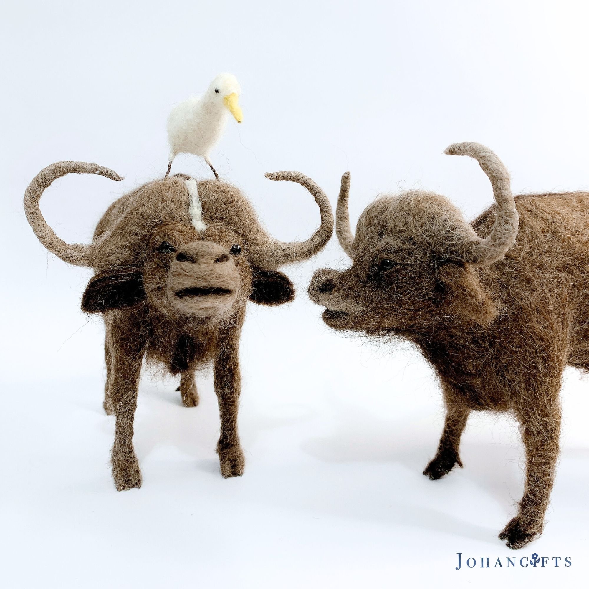African buffalo | 2025