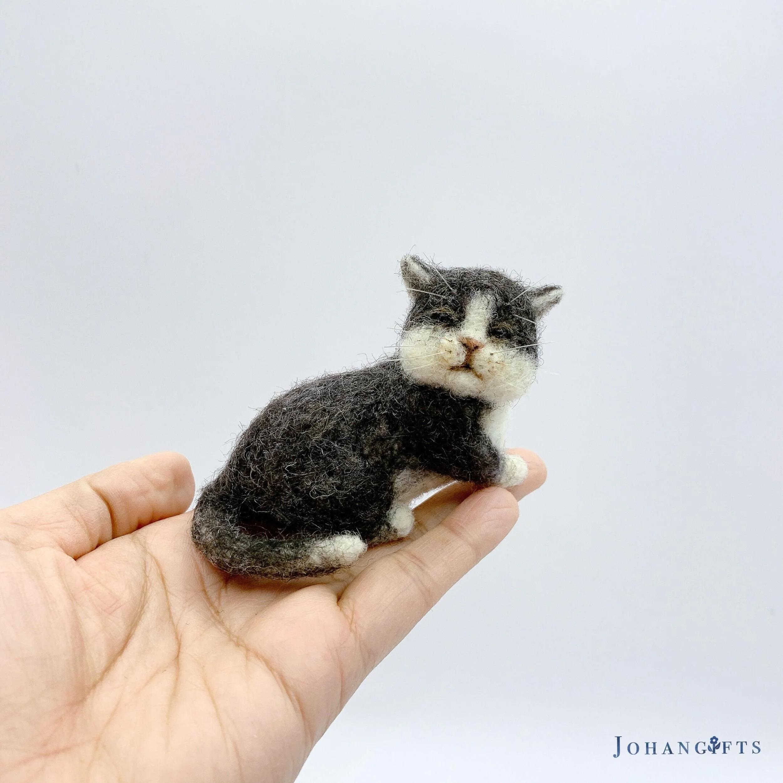 Tuxido Kitten | 2026 | Sold