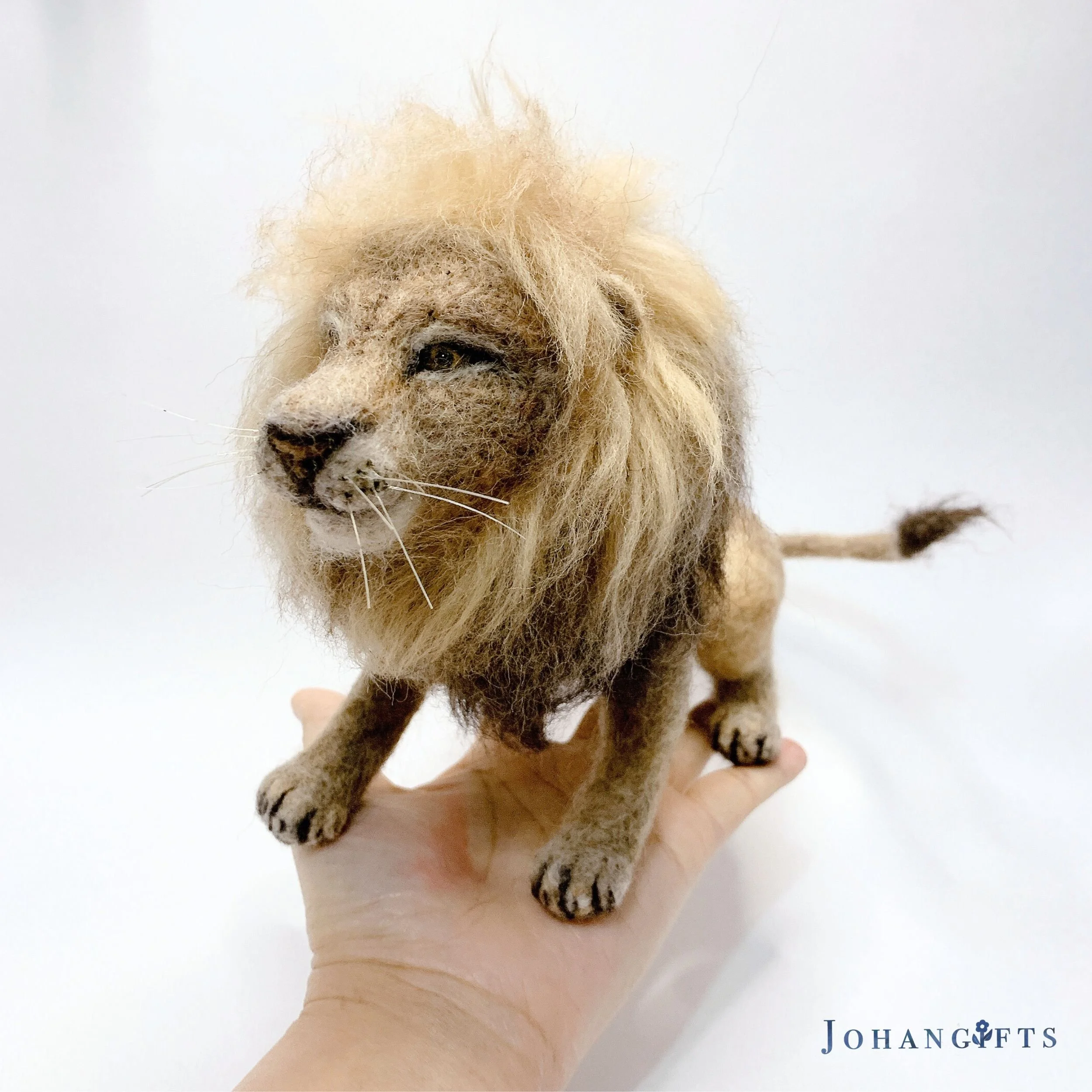 Male lion | 2025