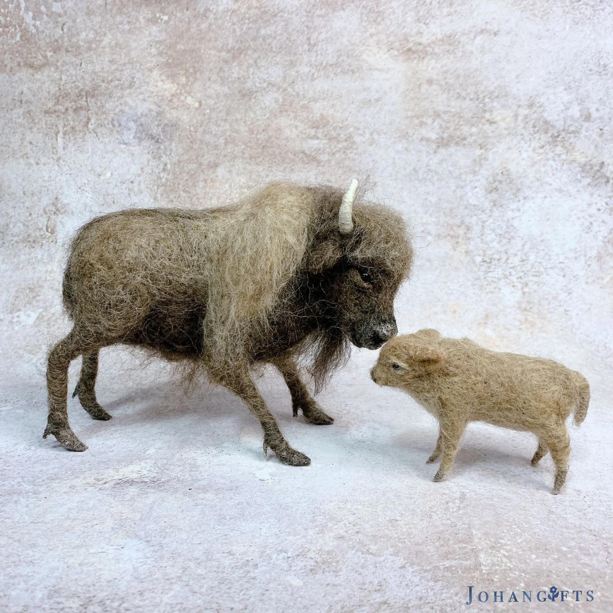 Bison family | 2026