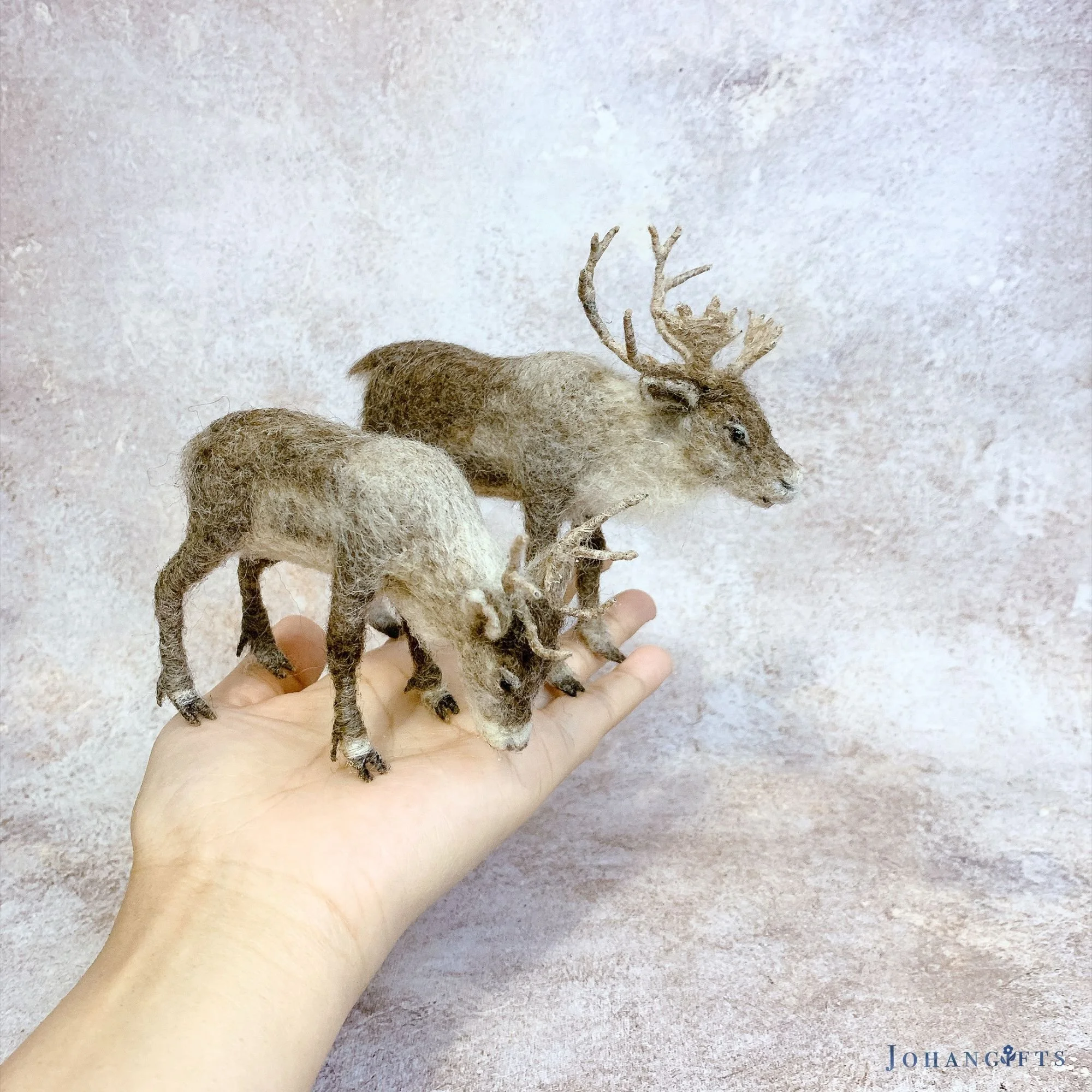 Reindeer couple | 2026