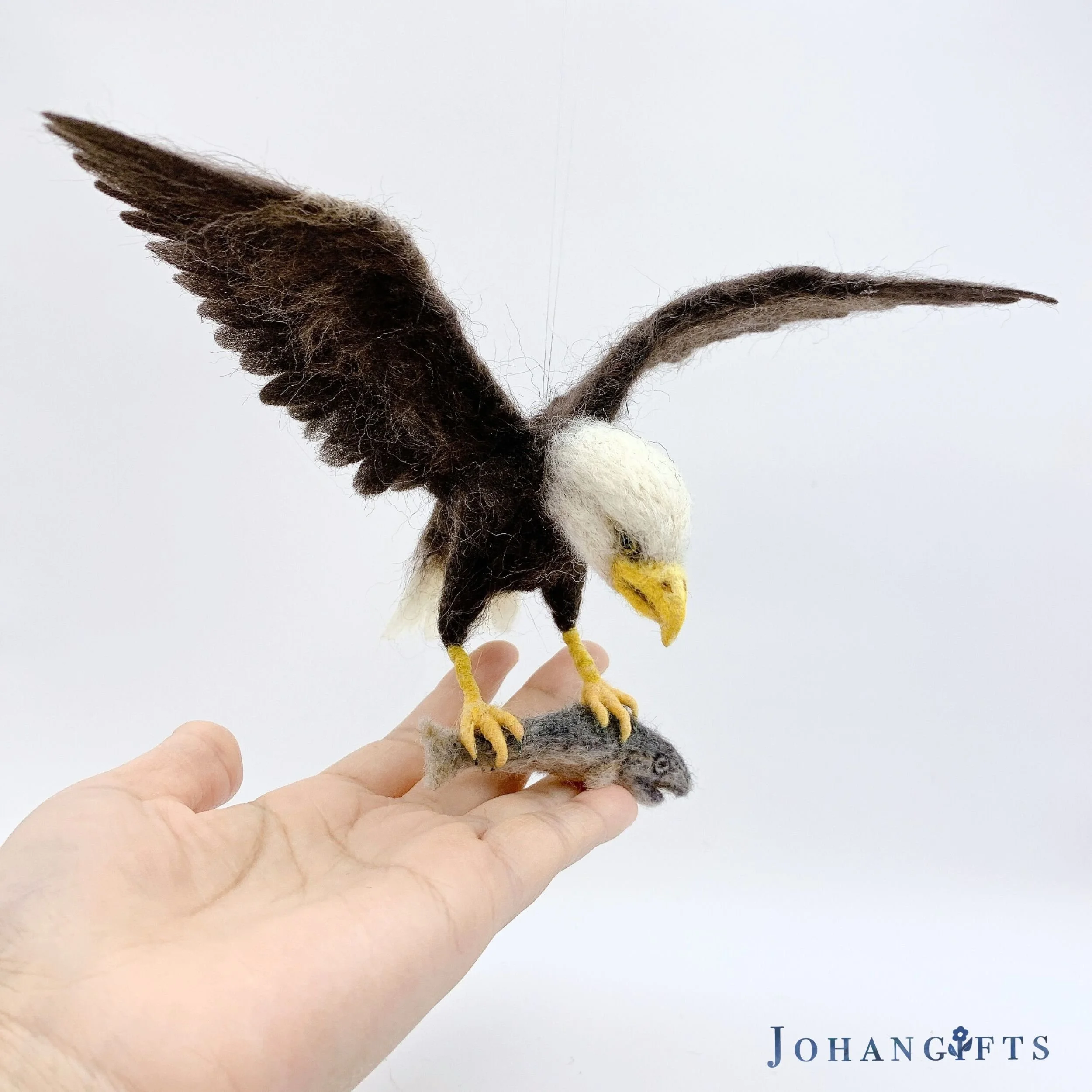 Bald eagle | 2026
