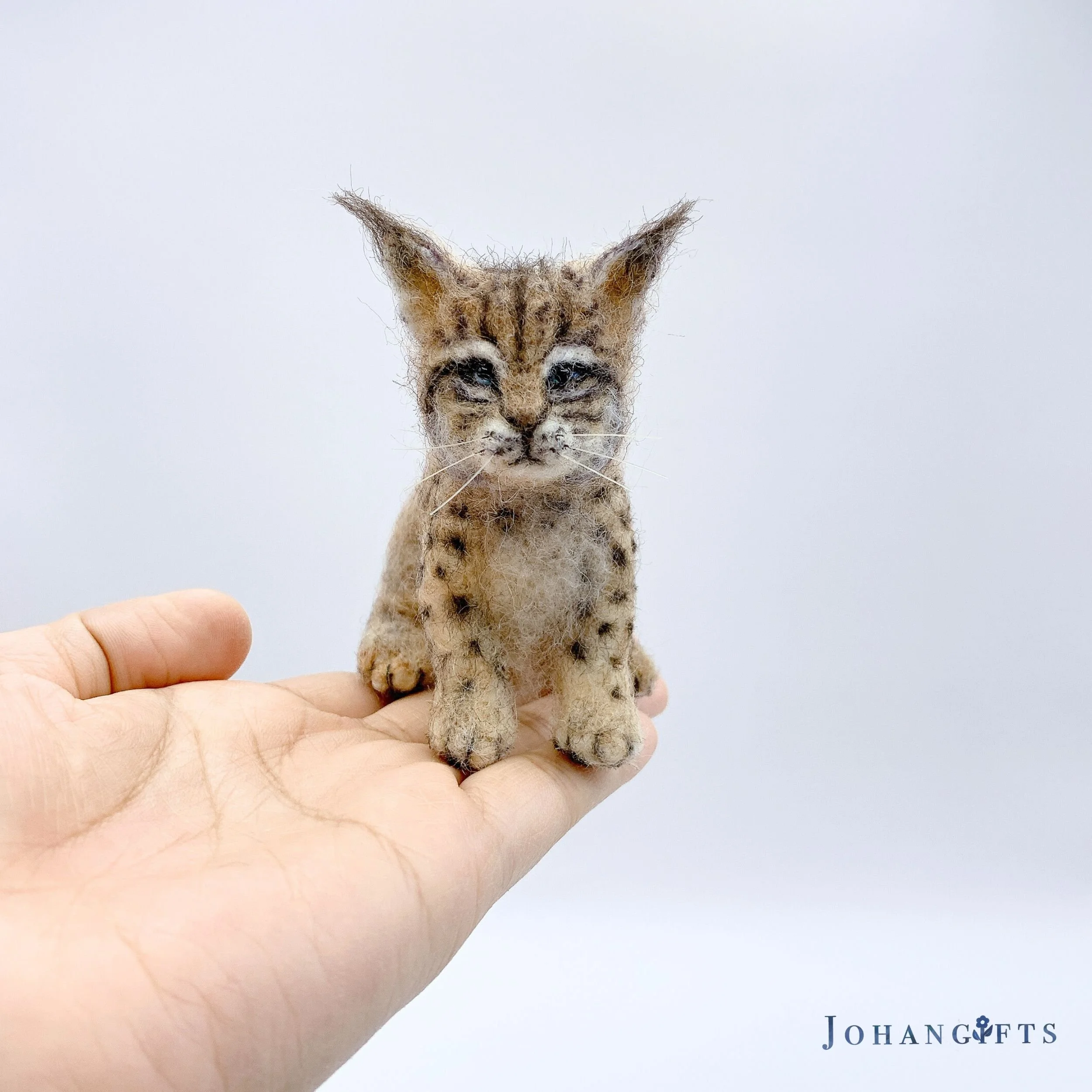 Lynx Kitten | 2026