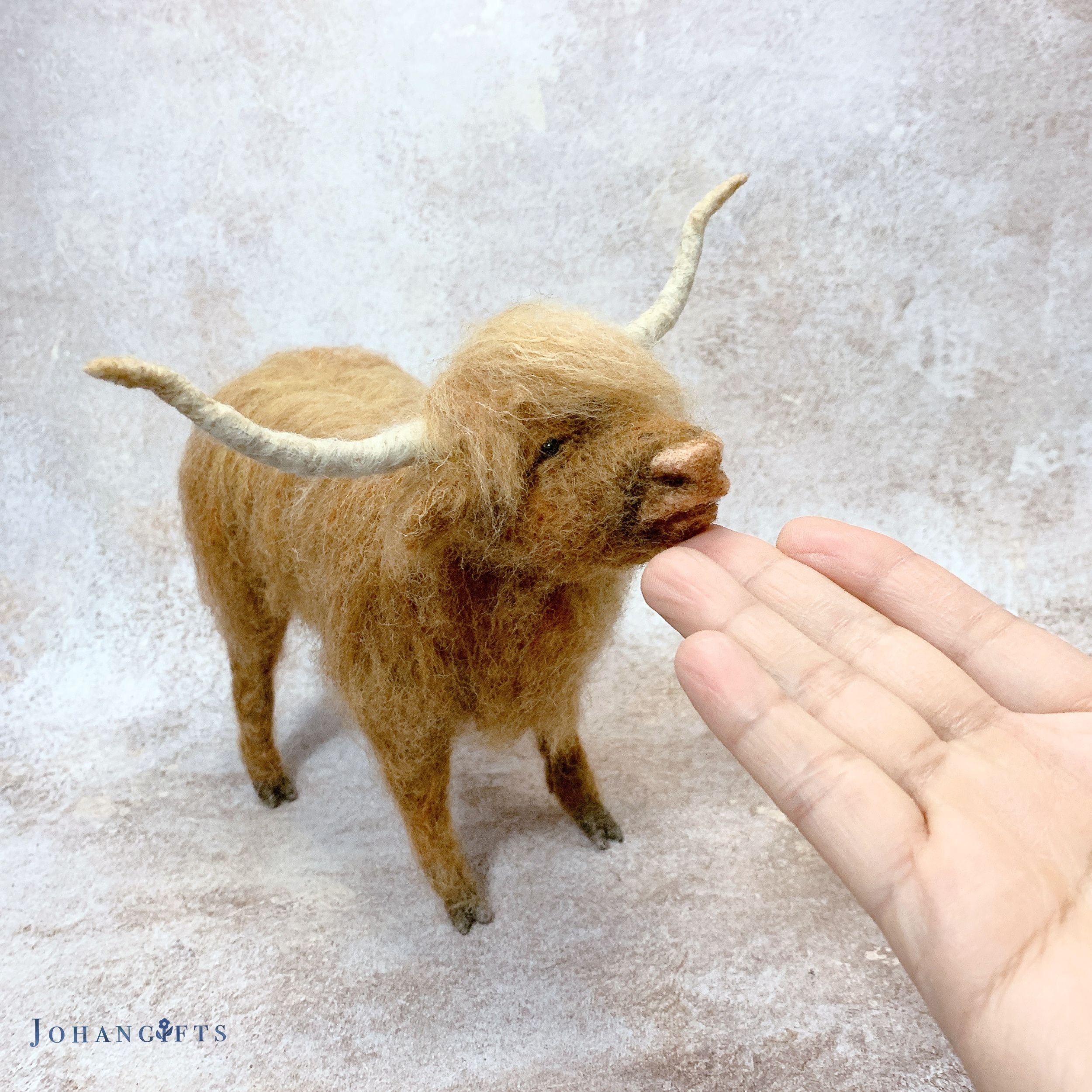 Highland cow | 2026