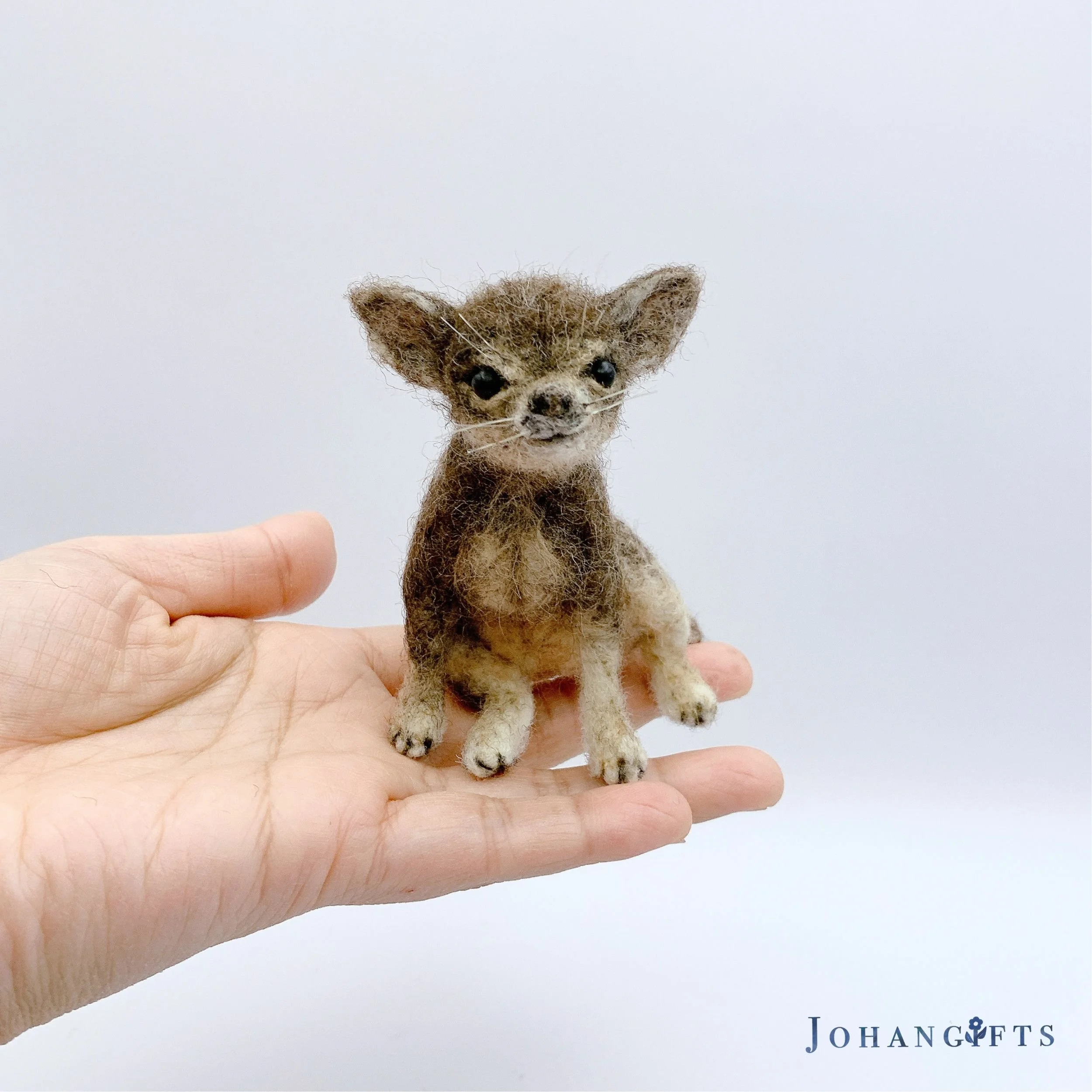 chihuahua | 2026