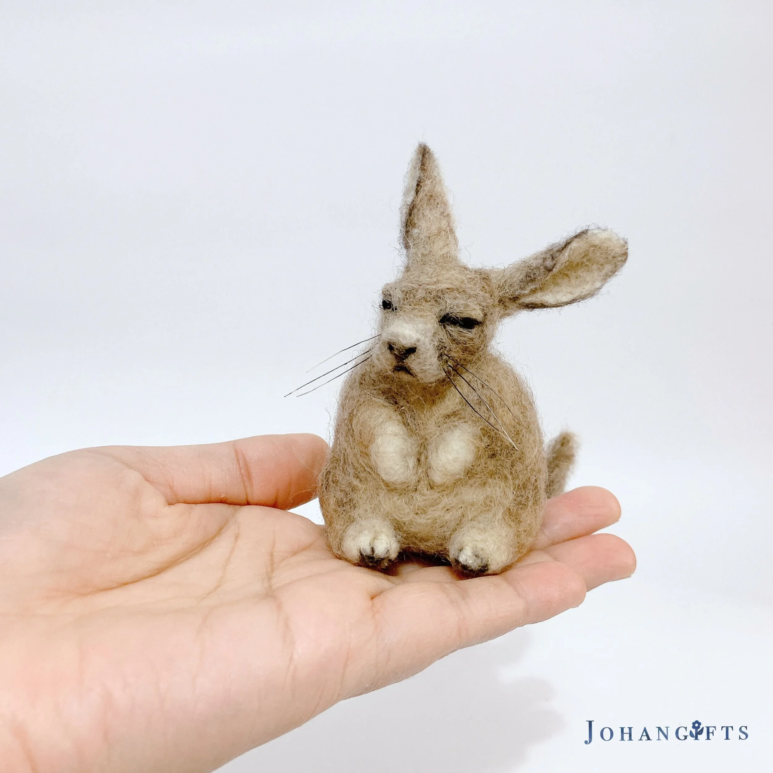 Southern viscacha | 2025