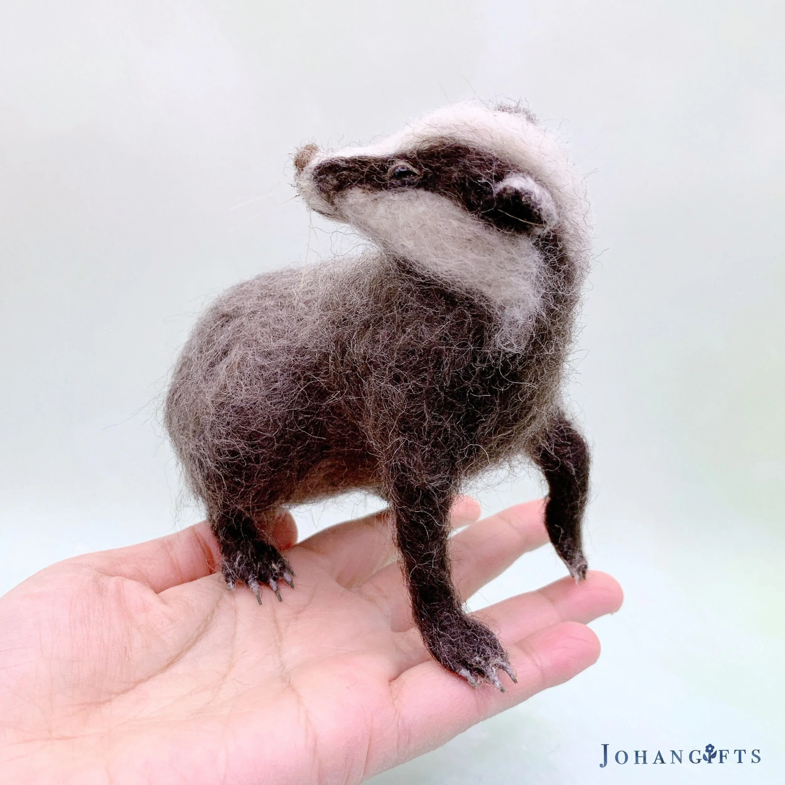 European Badger | 2026