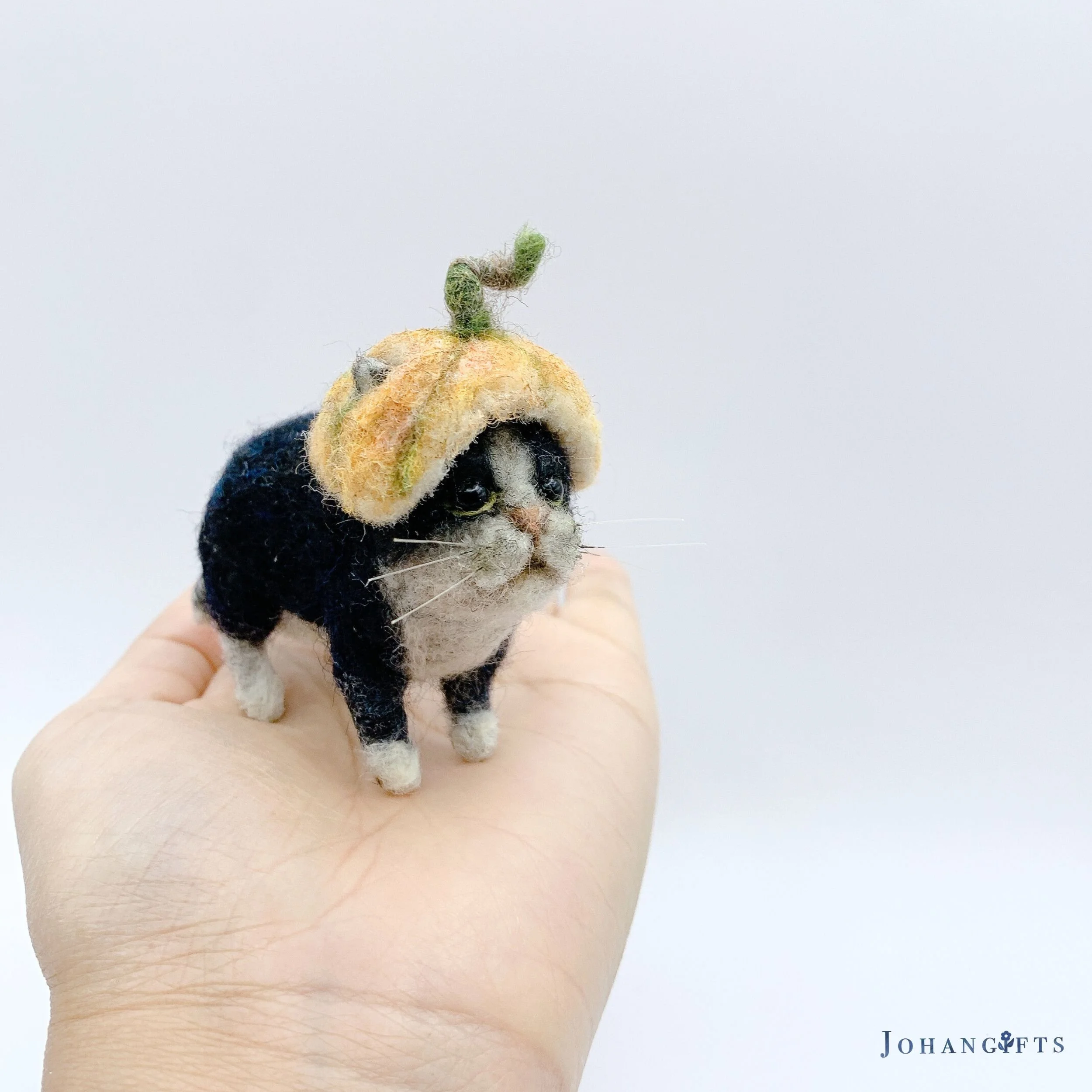 Pumpkin Tuxido Kitten | 2025 | Sold