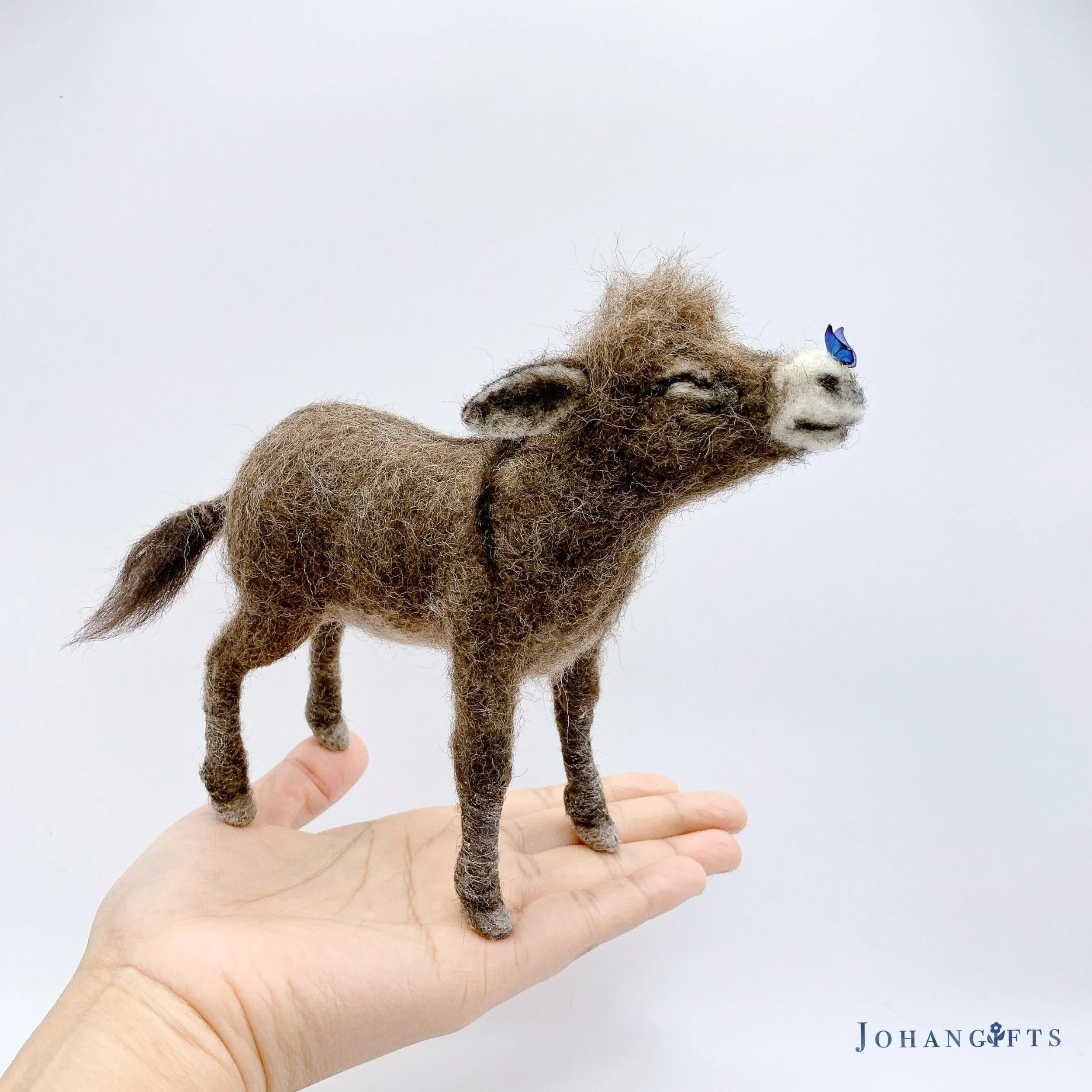Burro & butterfly | 2026