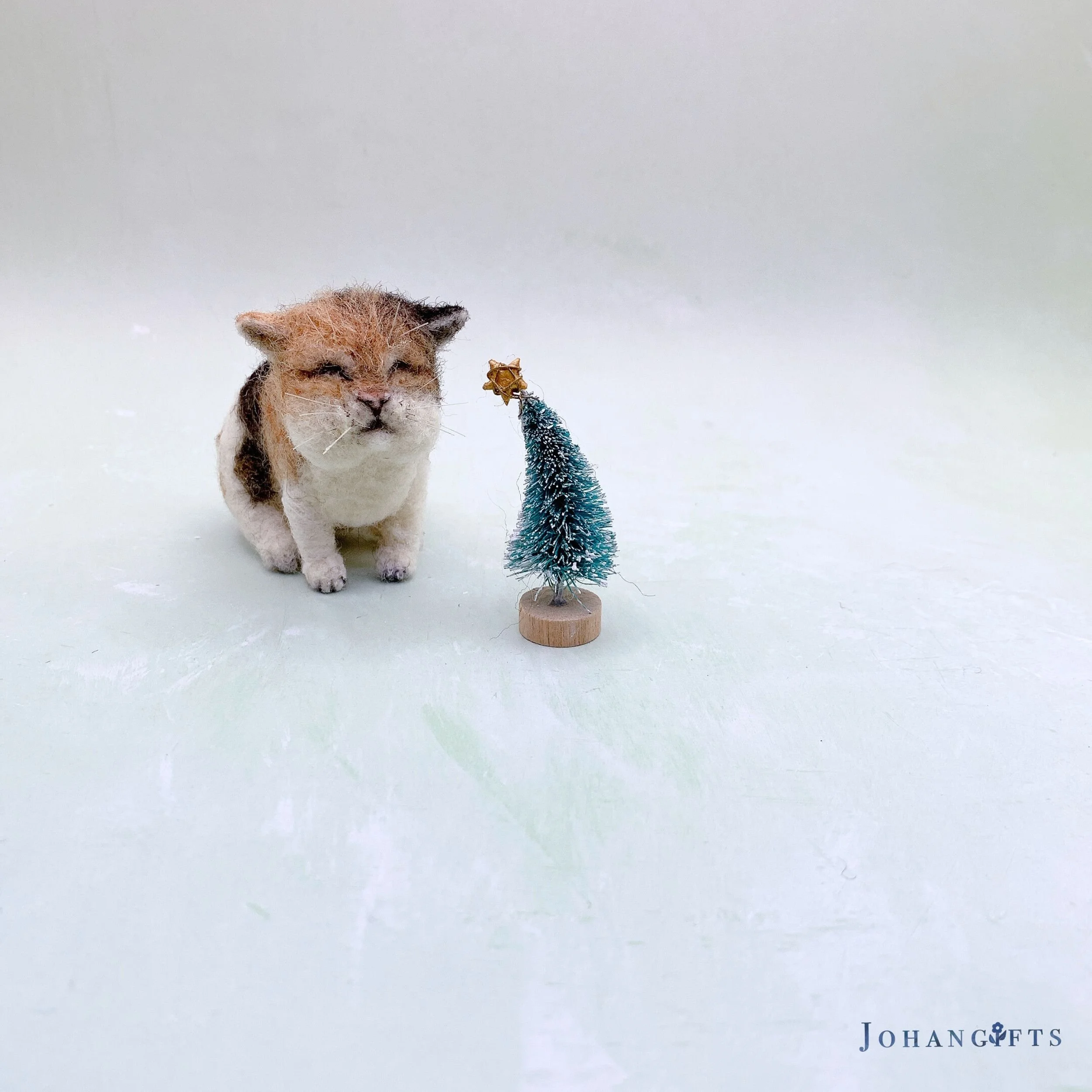 Calico Kitten | 2026