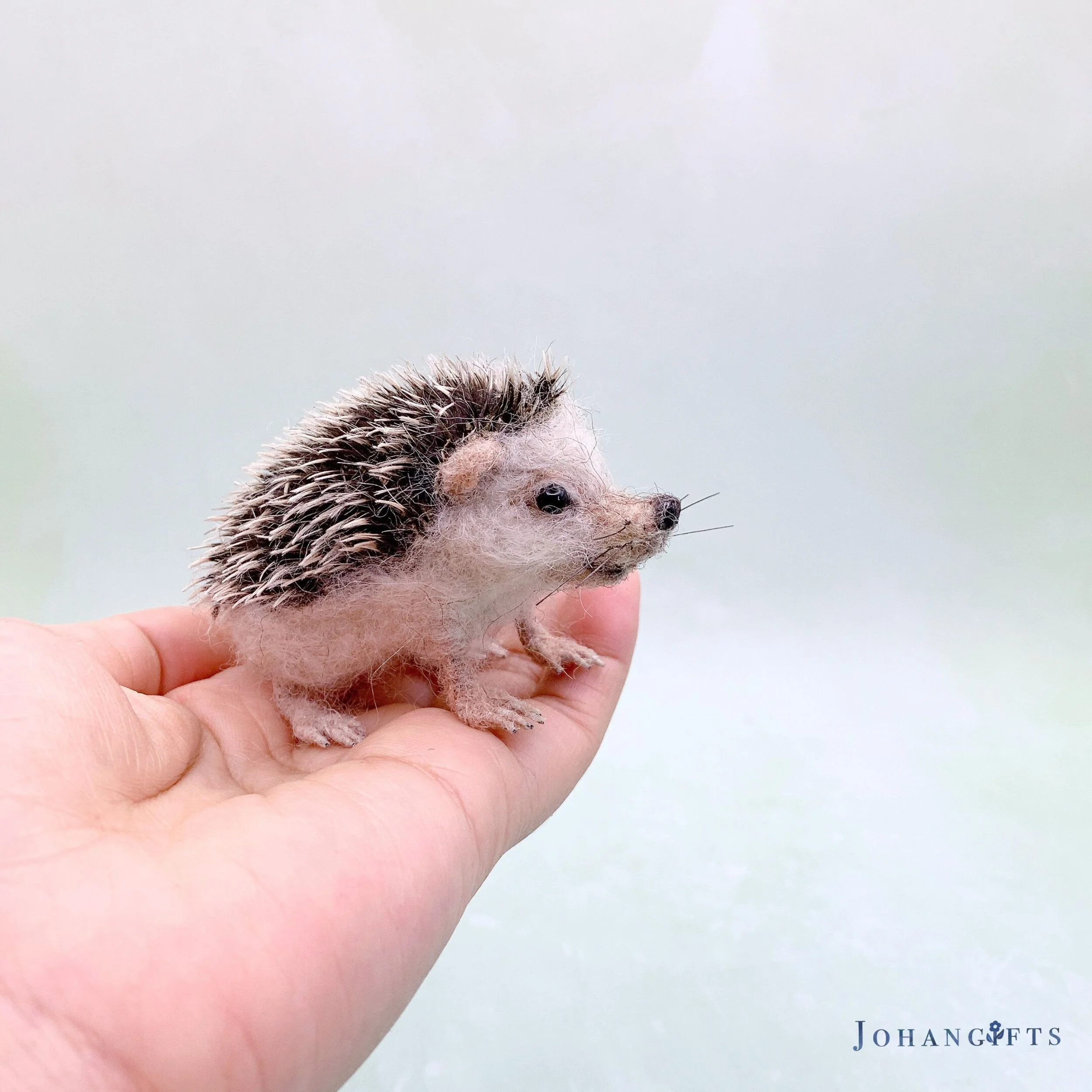 hedgehog | 2025