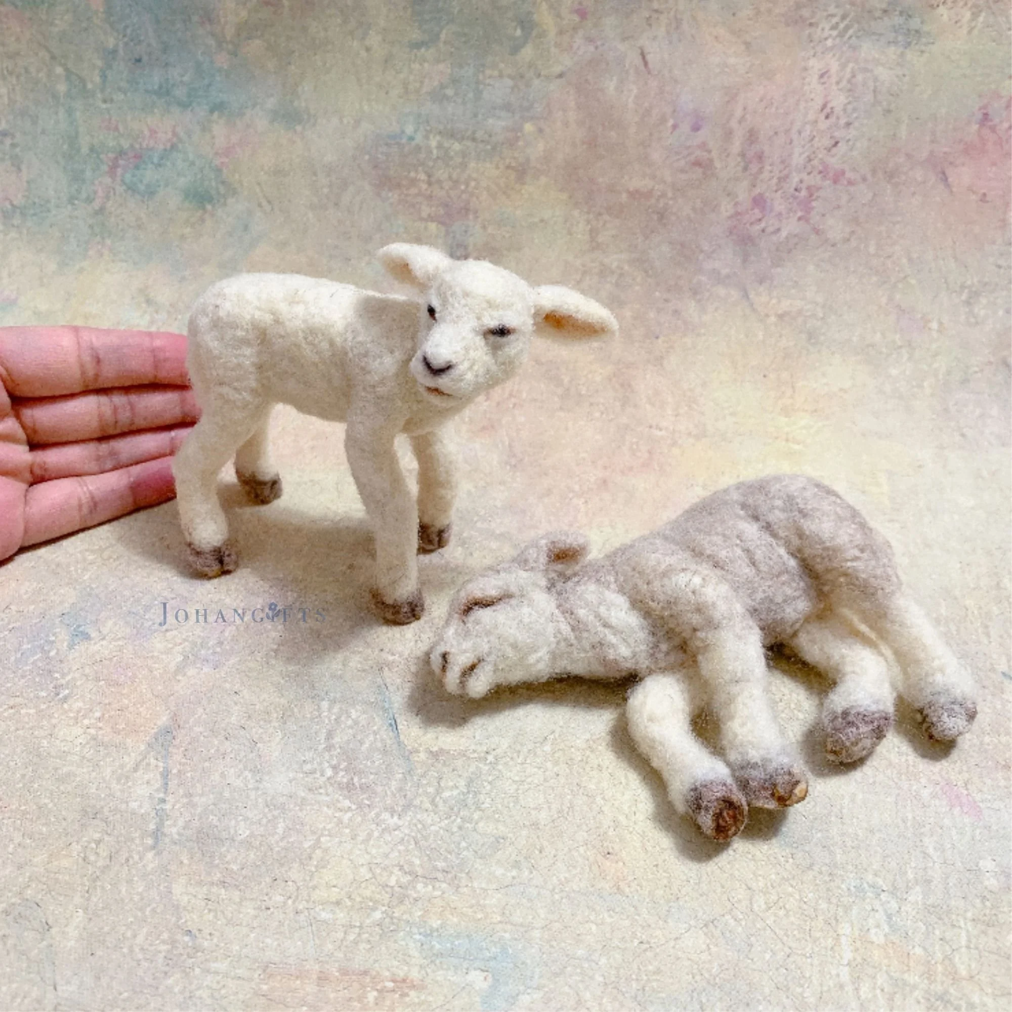 Lamb | 2026