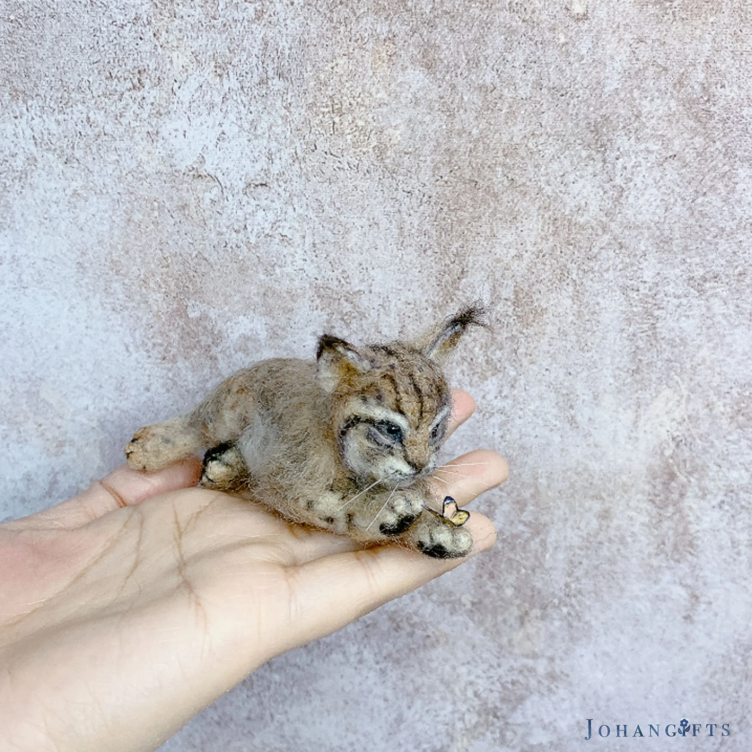 Lynx Kitten | 2026