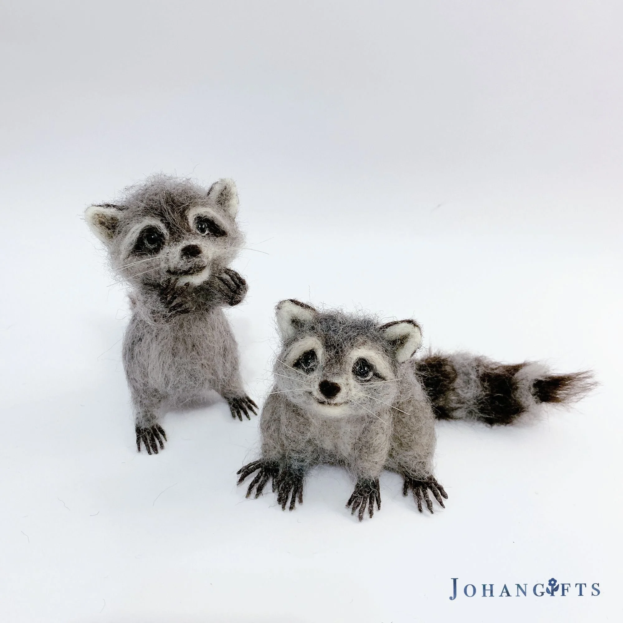 Baby raccoon | 2025