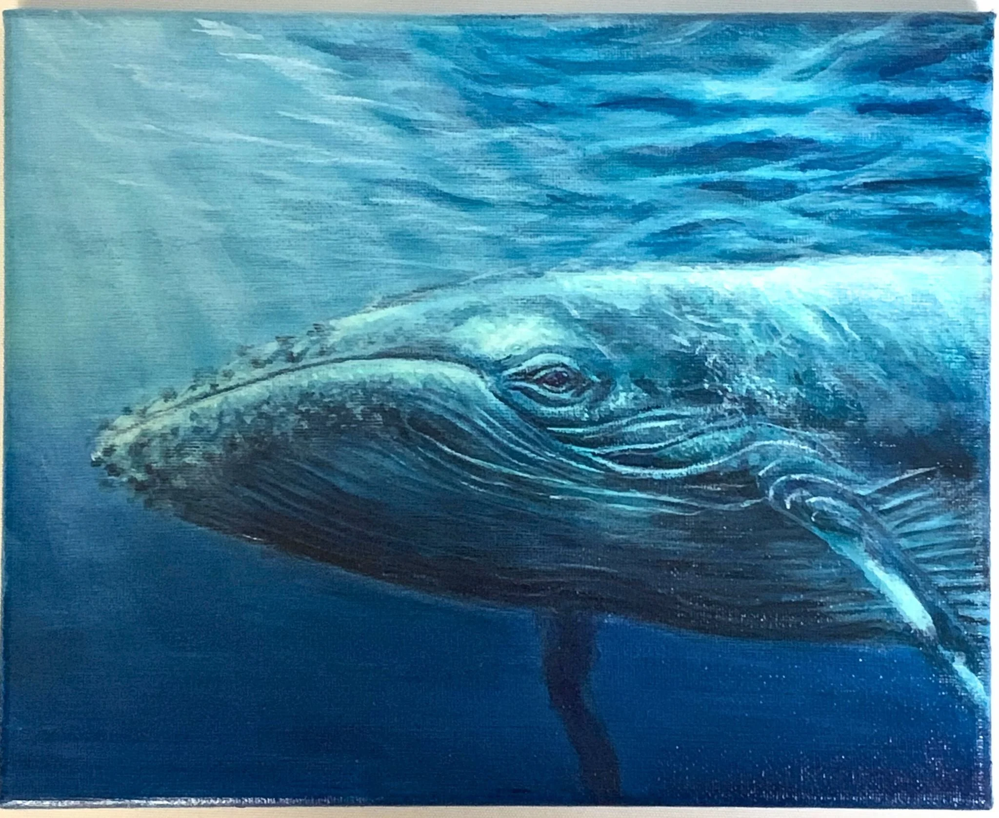 Humpback Whale | Acrylic on Canvas | 8 × 10 in | 2026